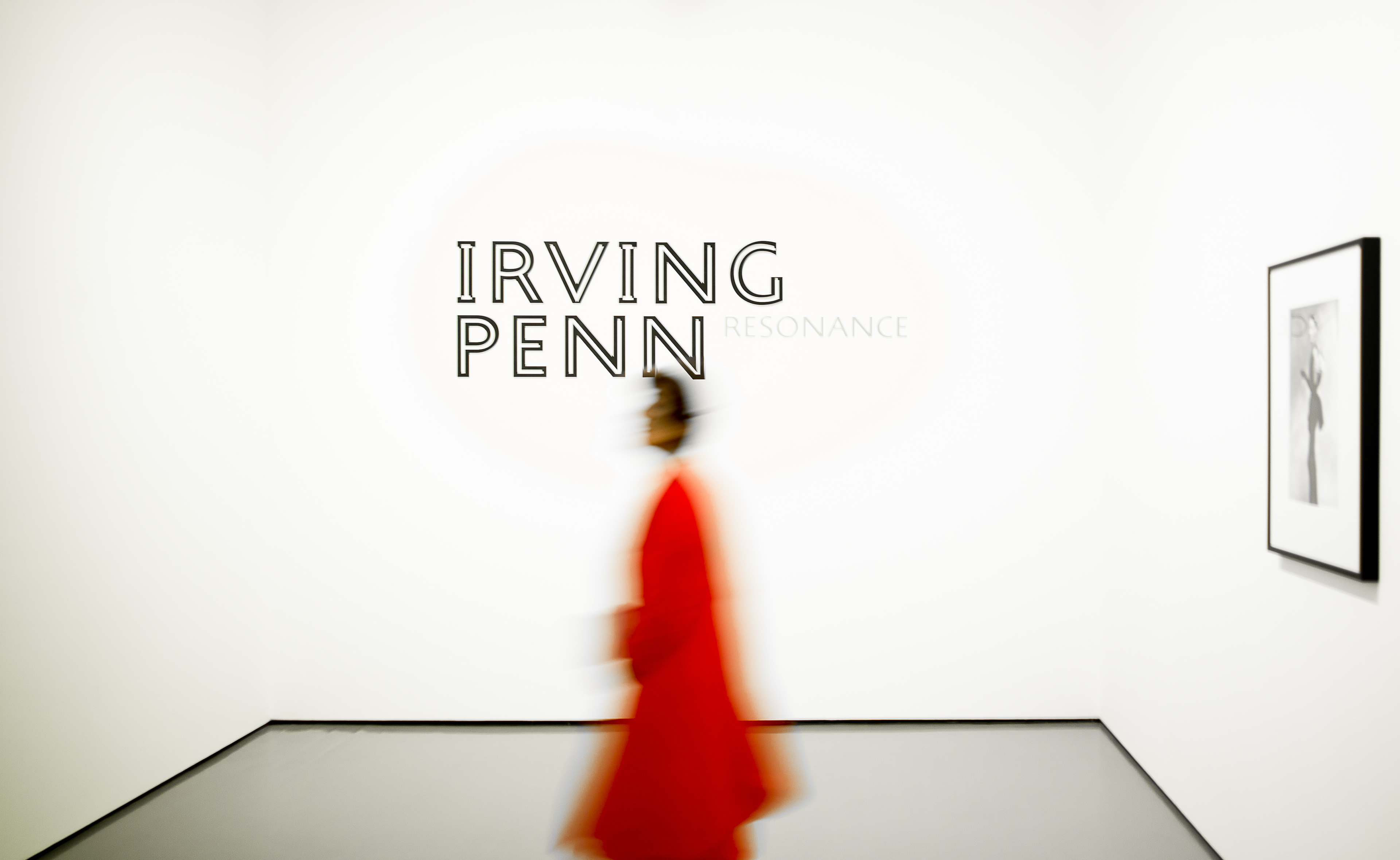 Palazzo Grassi: Venise