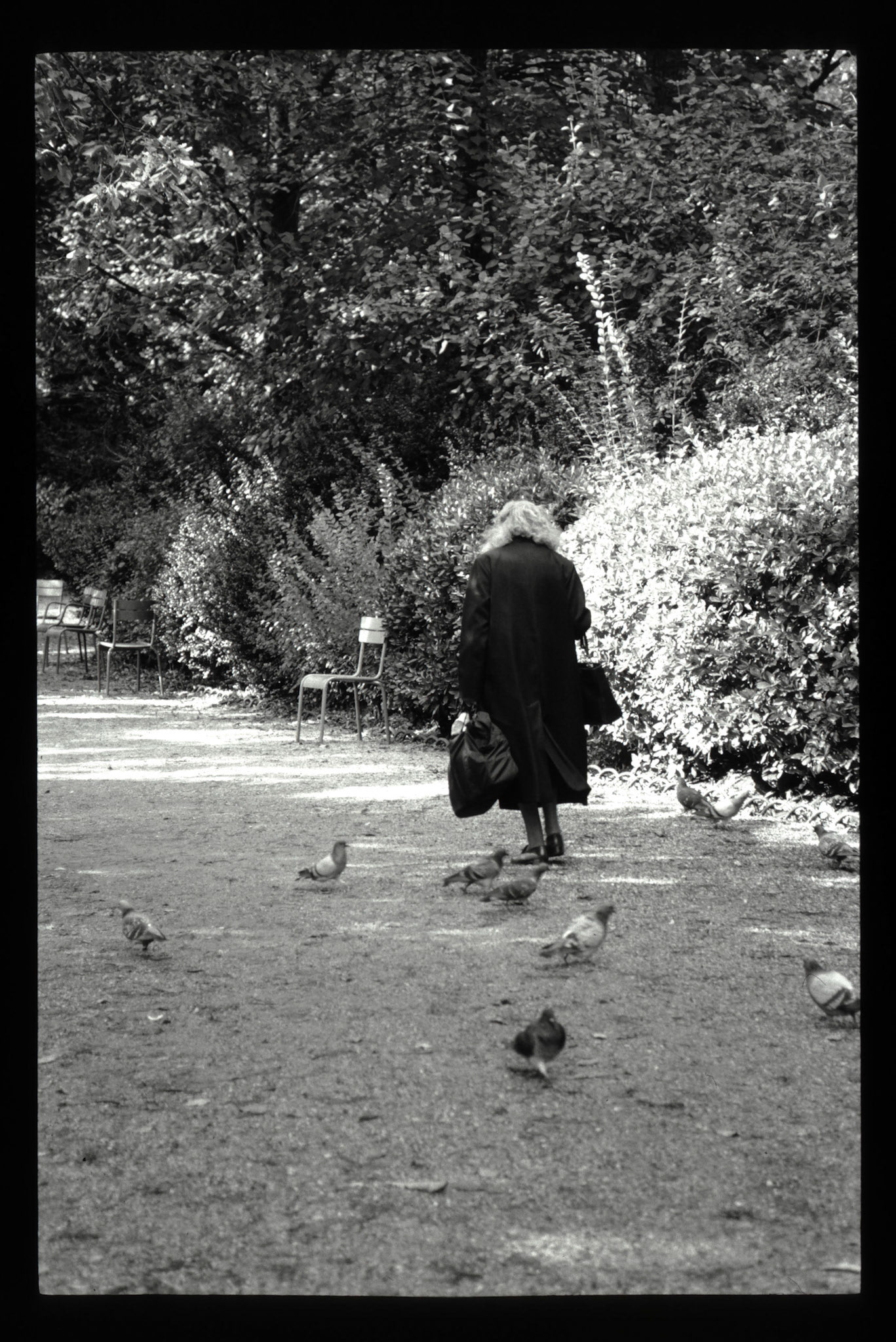Paris: Jardin du Luxembourg