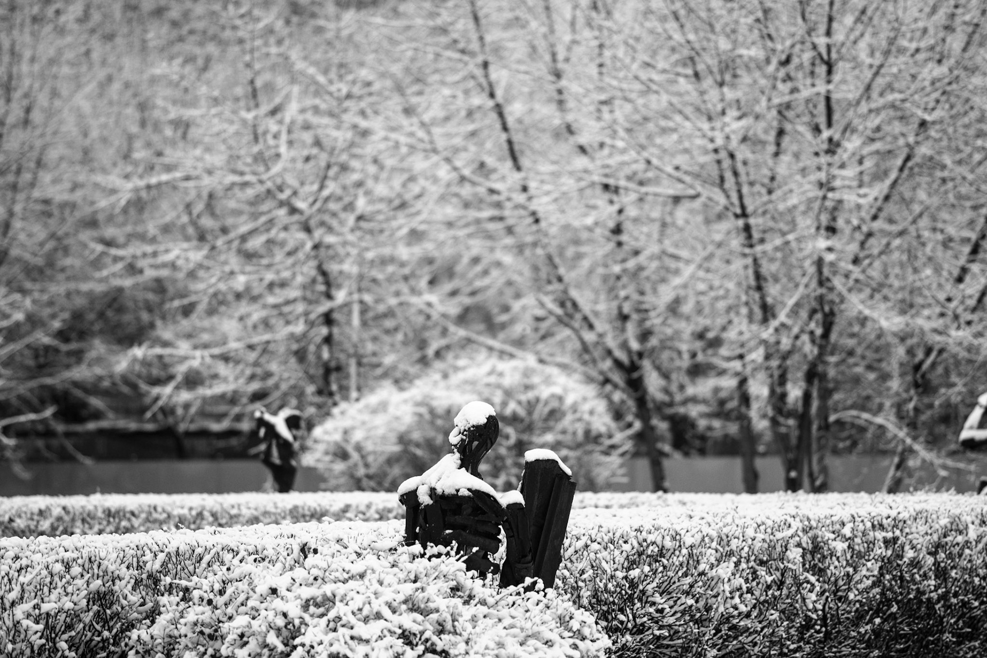 GORKY PARK