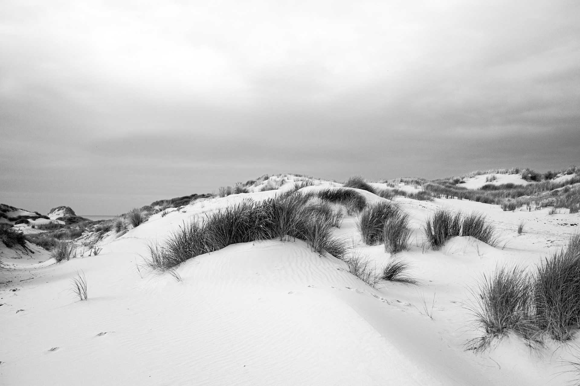 BAIE DE SOMME