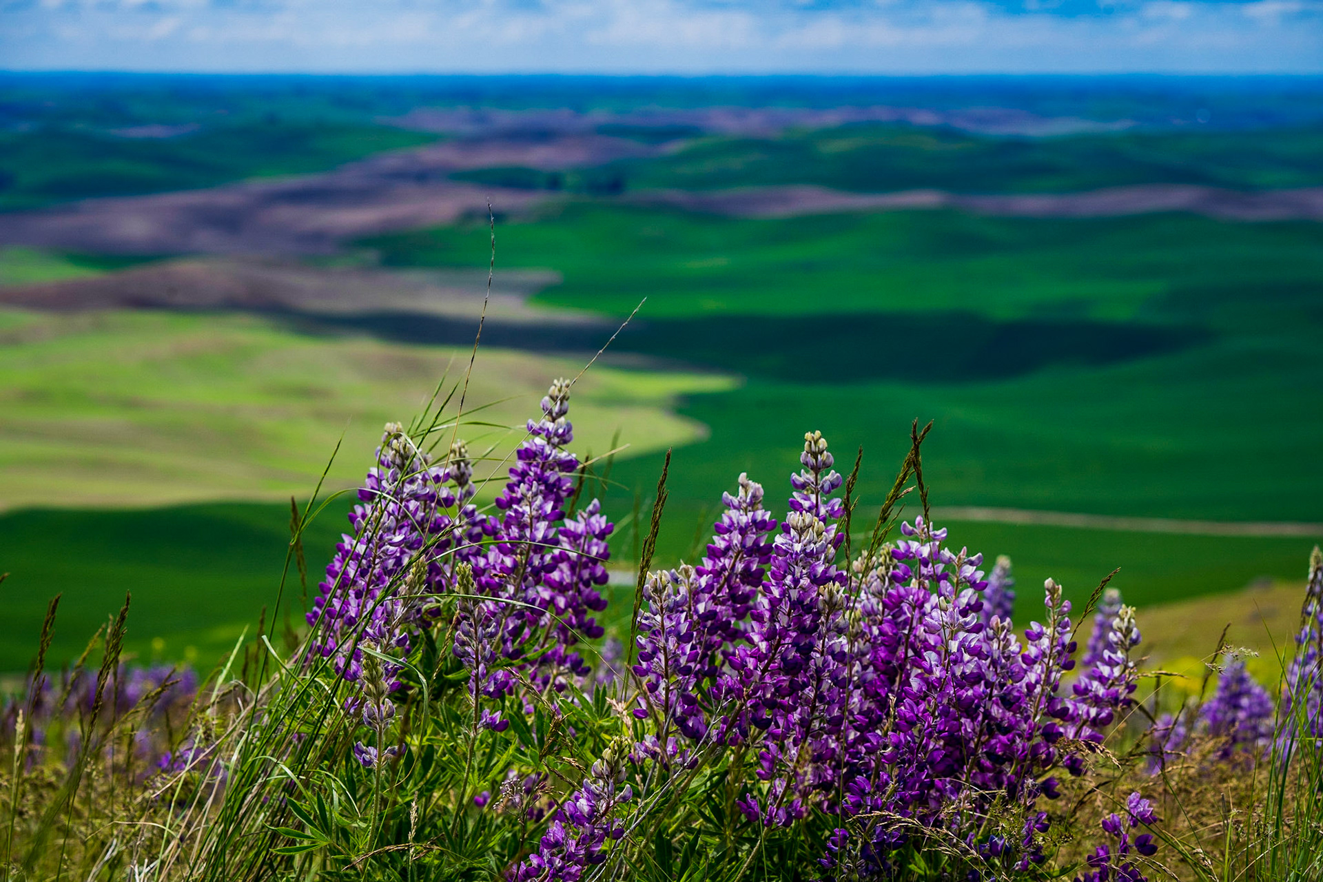 Steptoe Butte