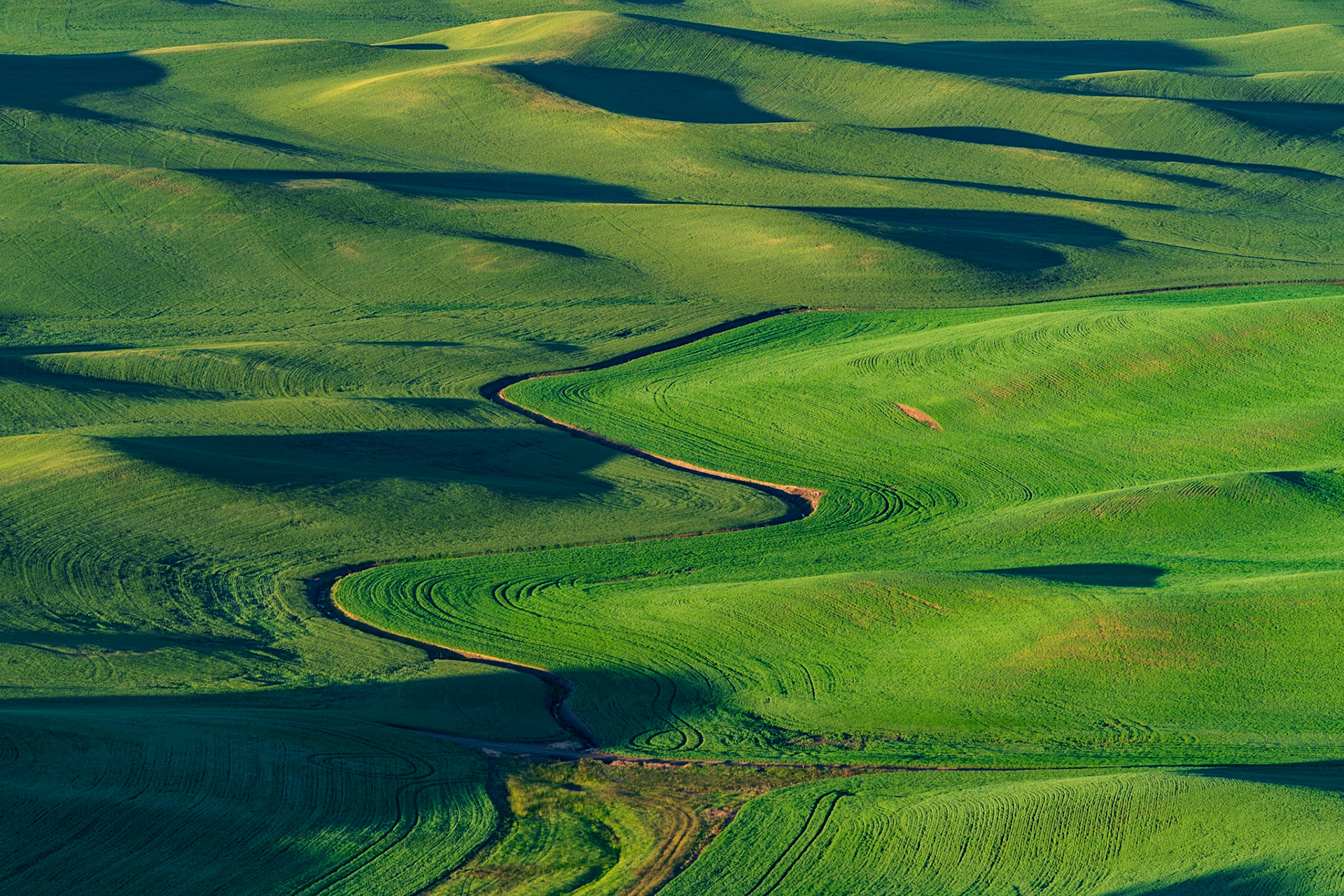 Zig Zag through the Green Hills