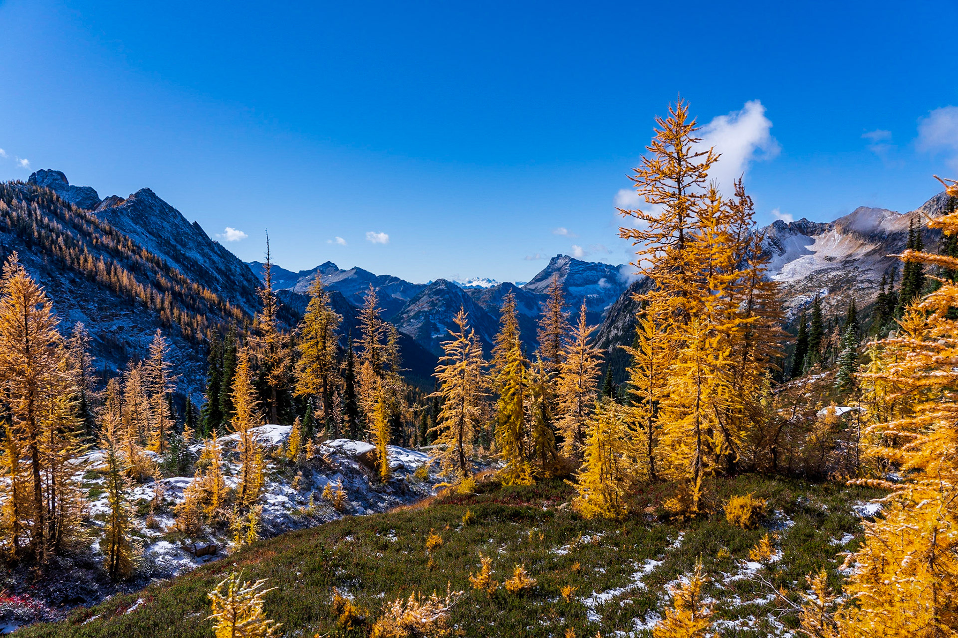 Larches - North Cascades