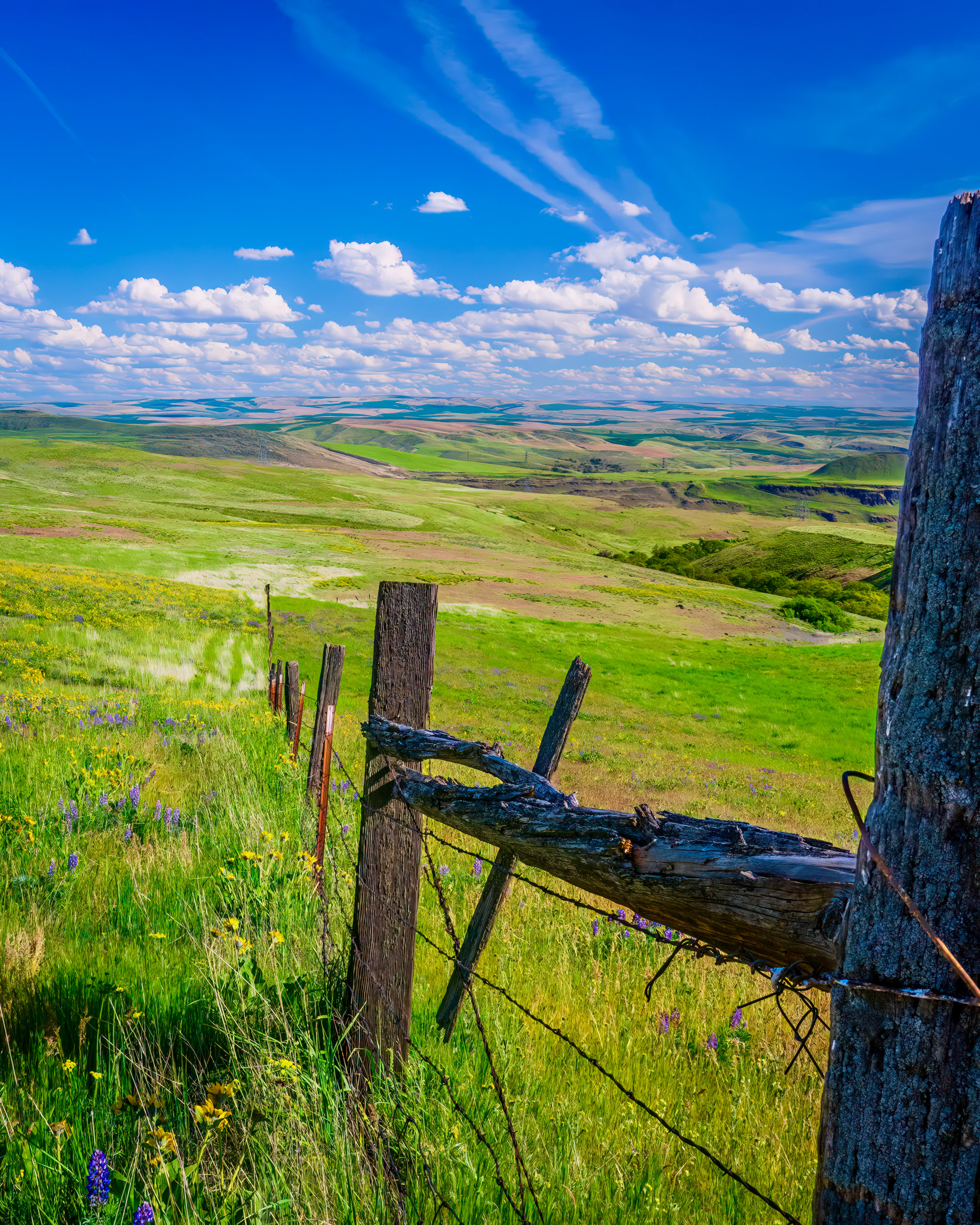 Dalles Mountain Ranch