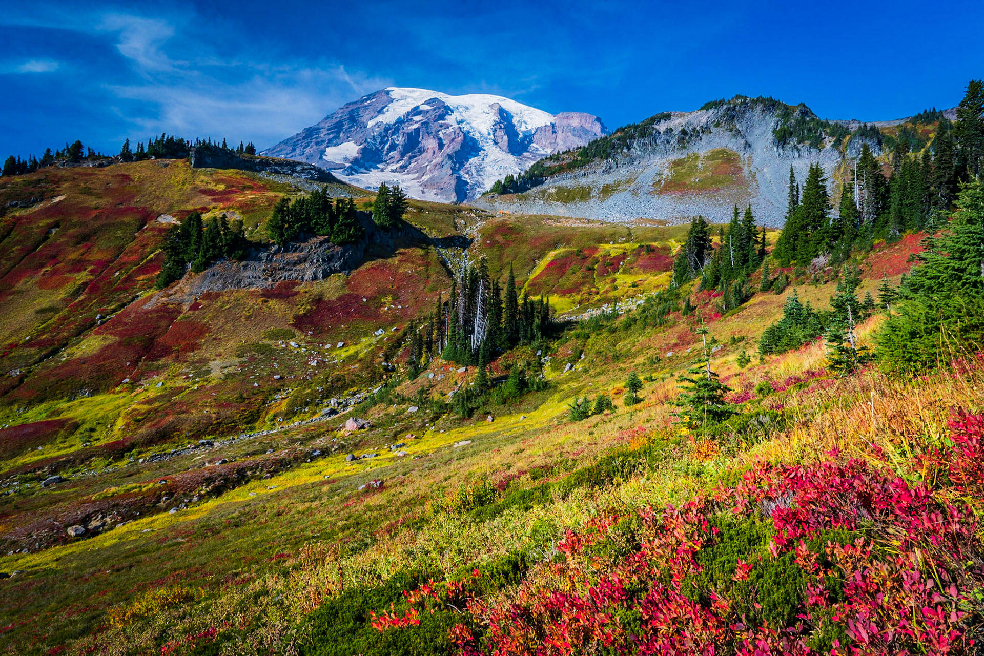 Paradise -MRNP