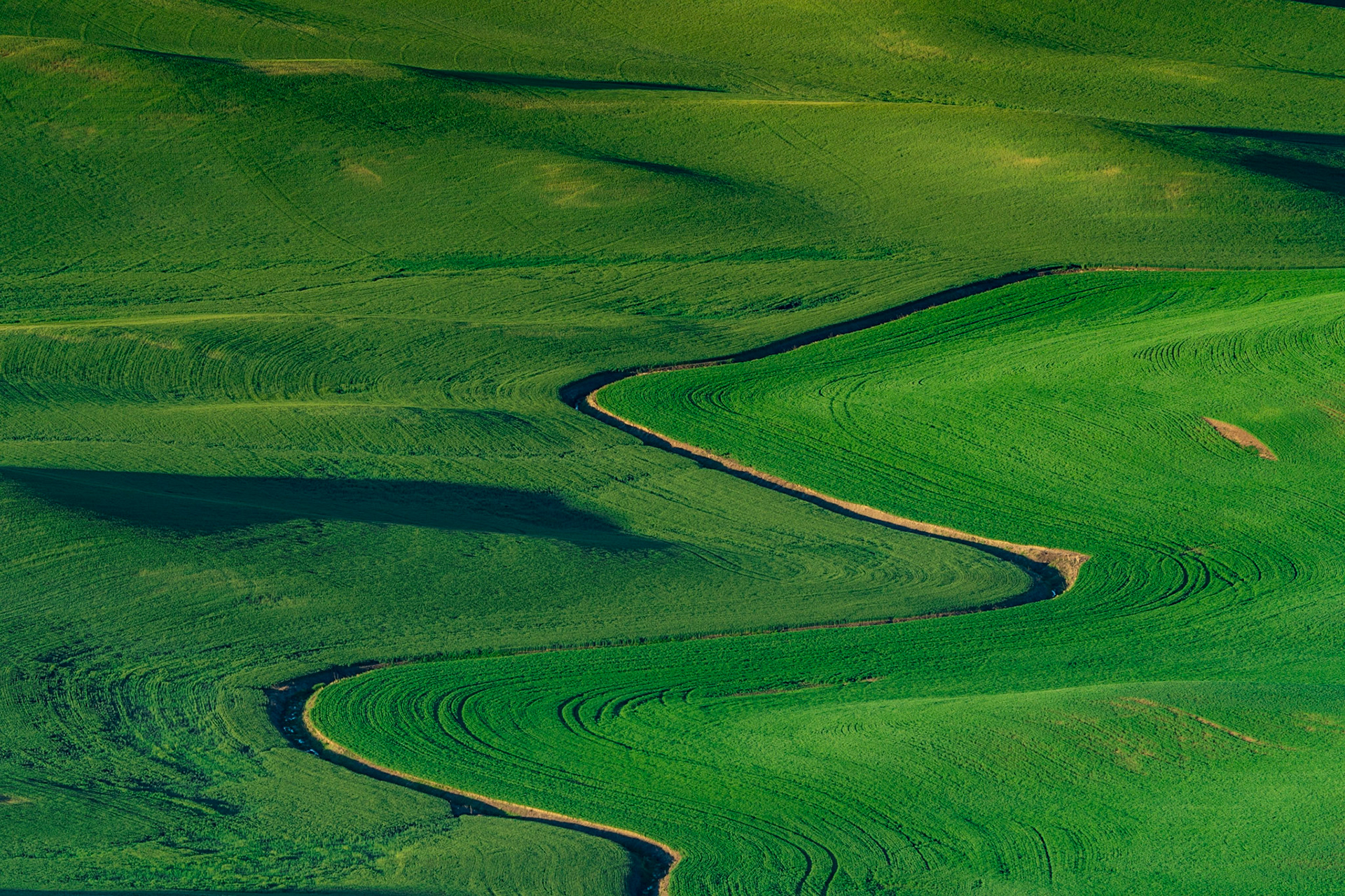 Winding Road through the Palouse