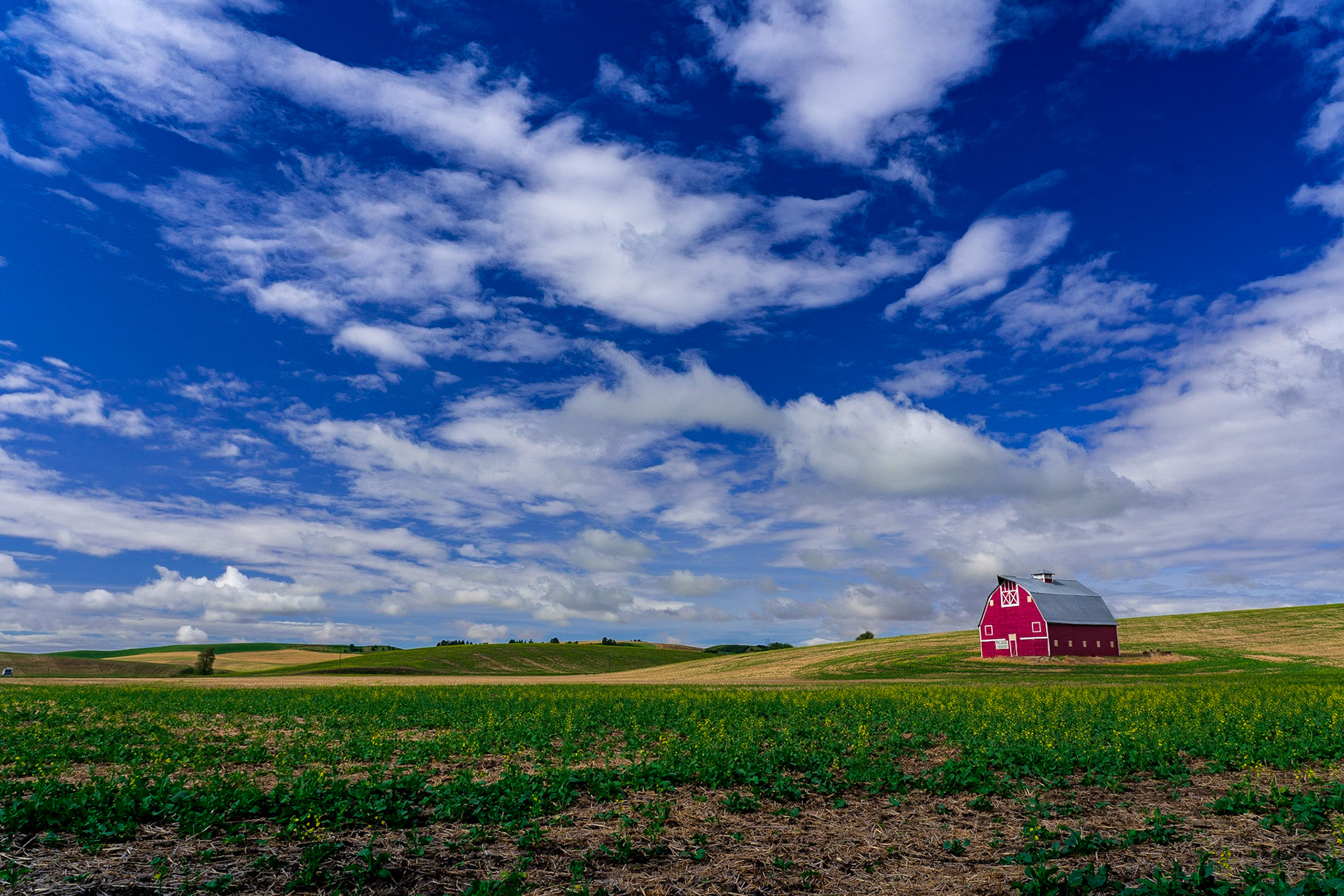 Red Barn - Eastern Washington