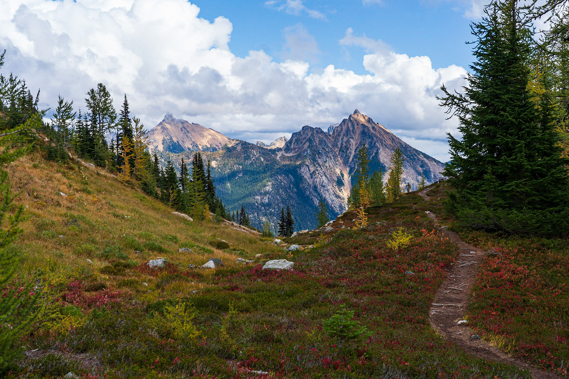 Easy Pass - North Cascades National Park