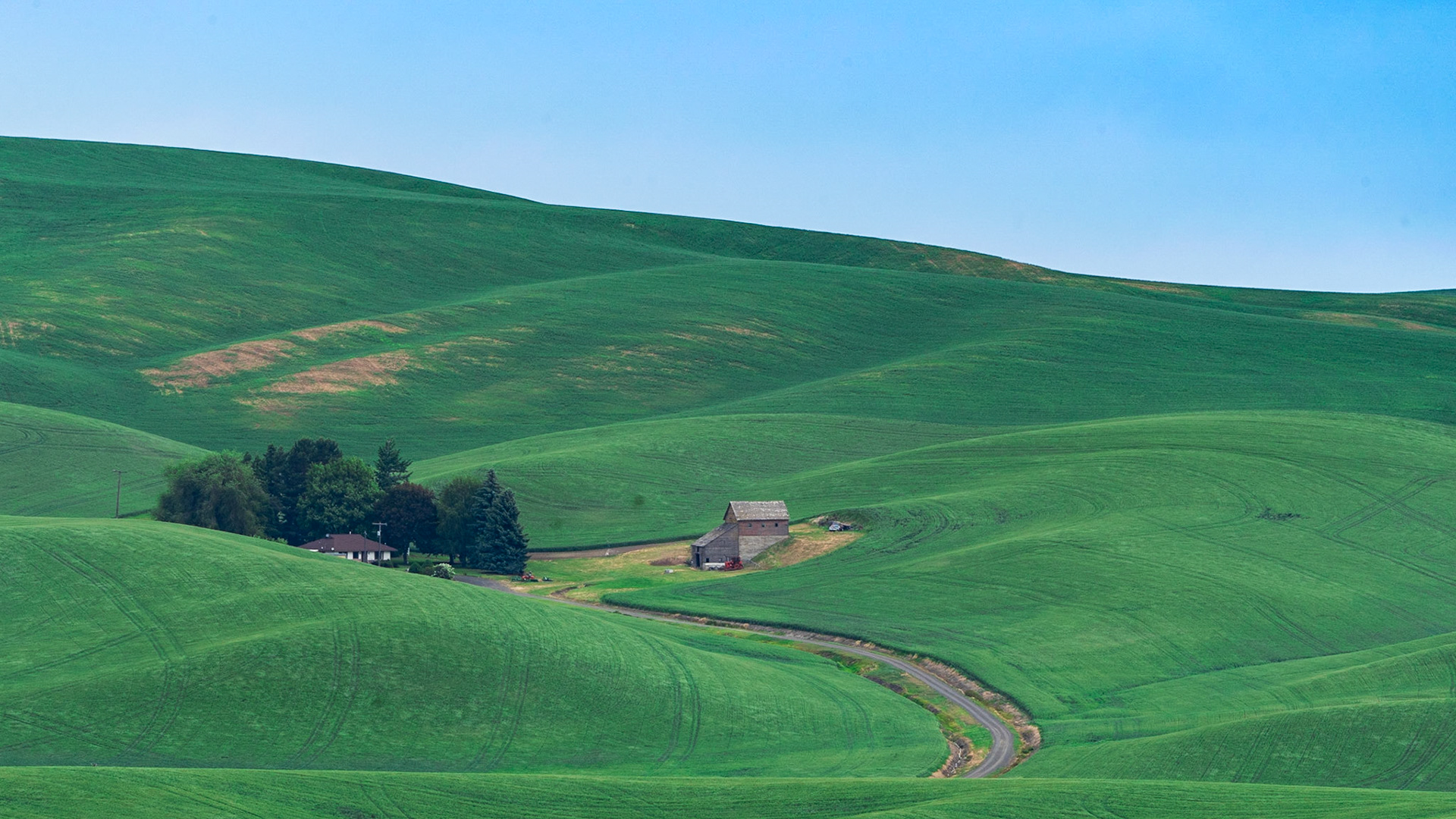 Rolling Hills of the Palouse
