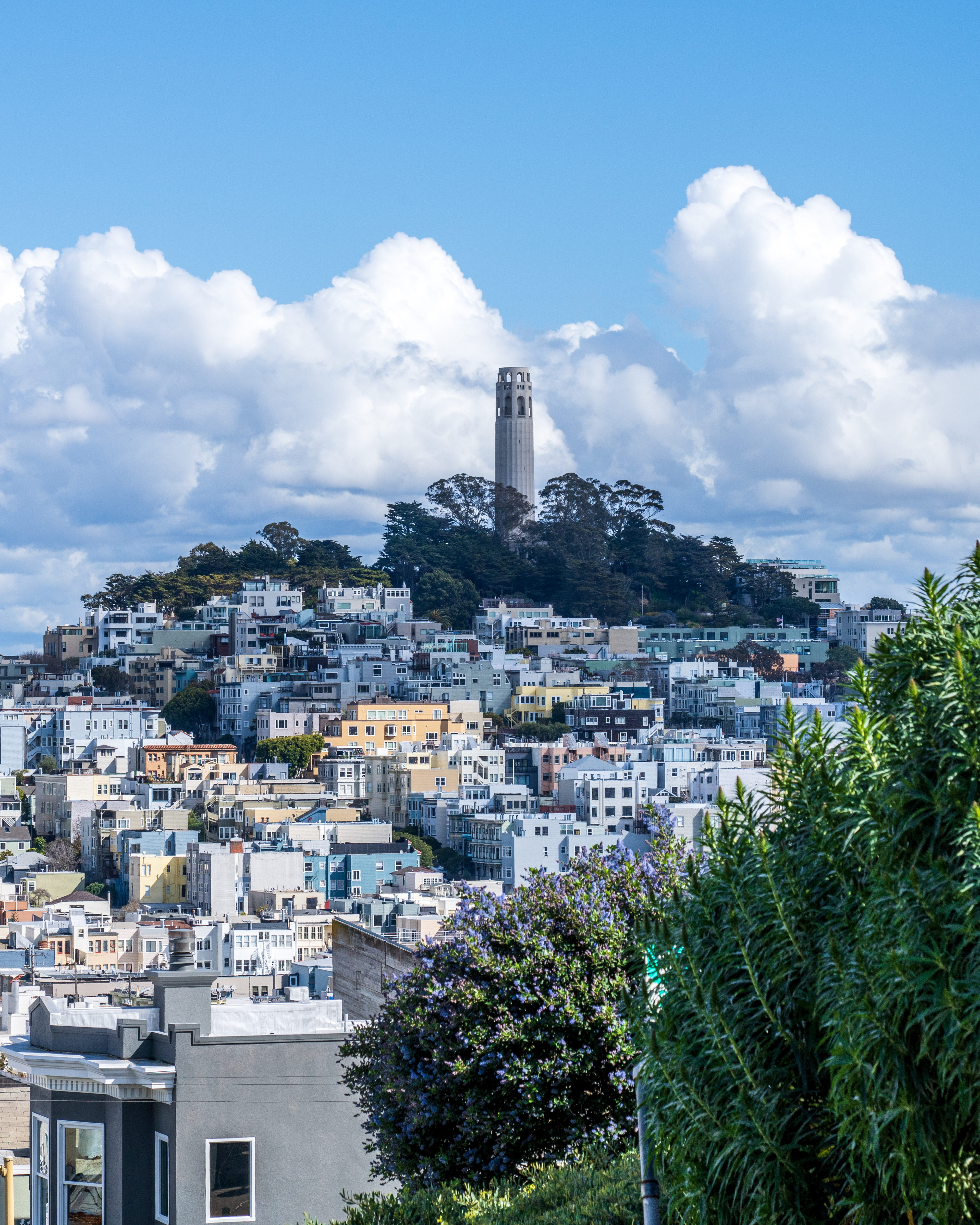 Coit Tower