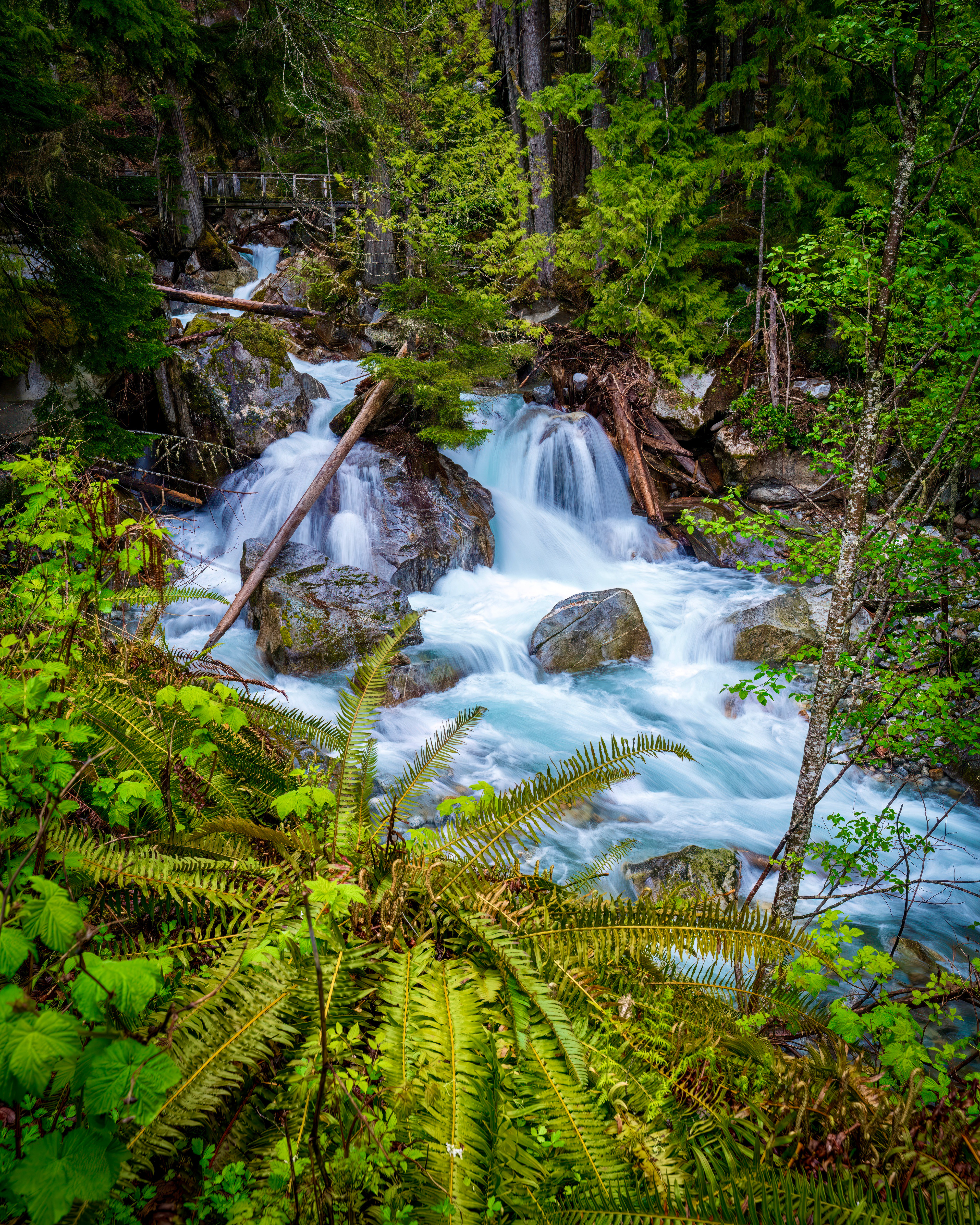 North Cascades NP