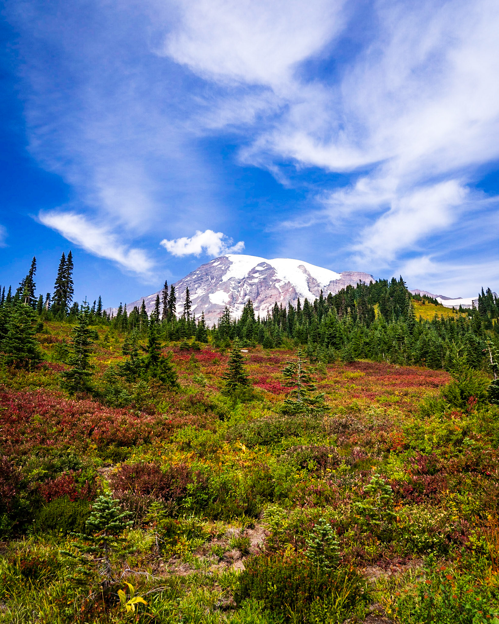 Autumn at Mount Rainier