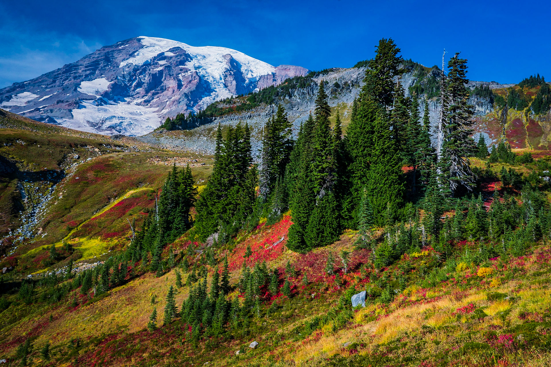 Mt Rainier in Autumn