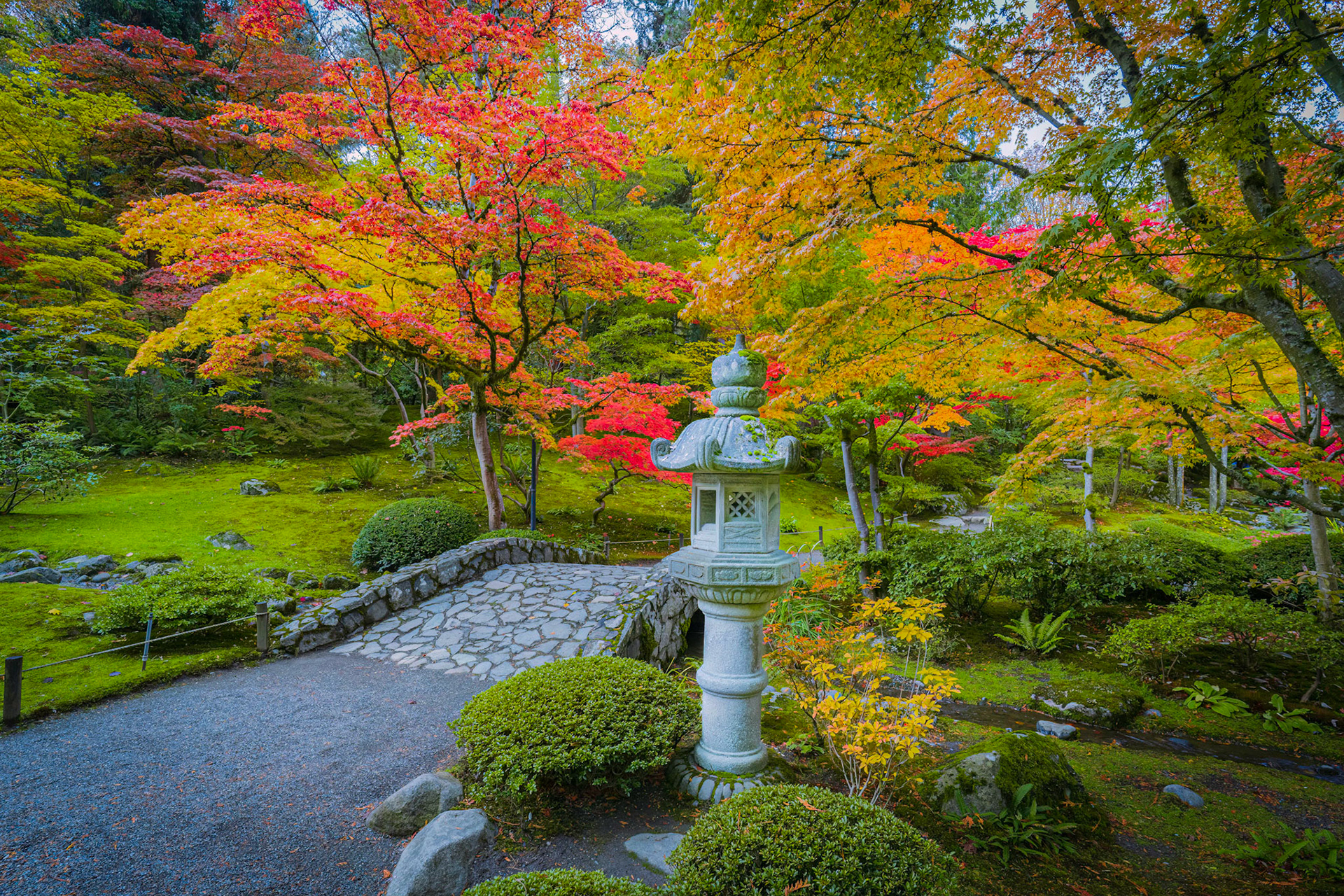 Japanese Garden