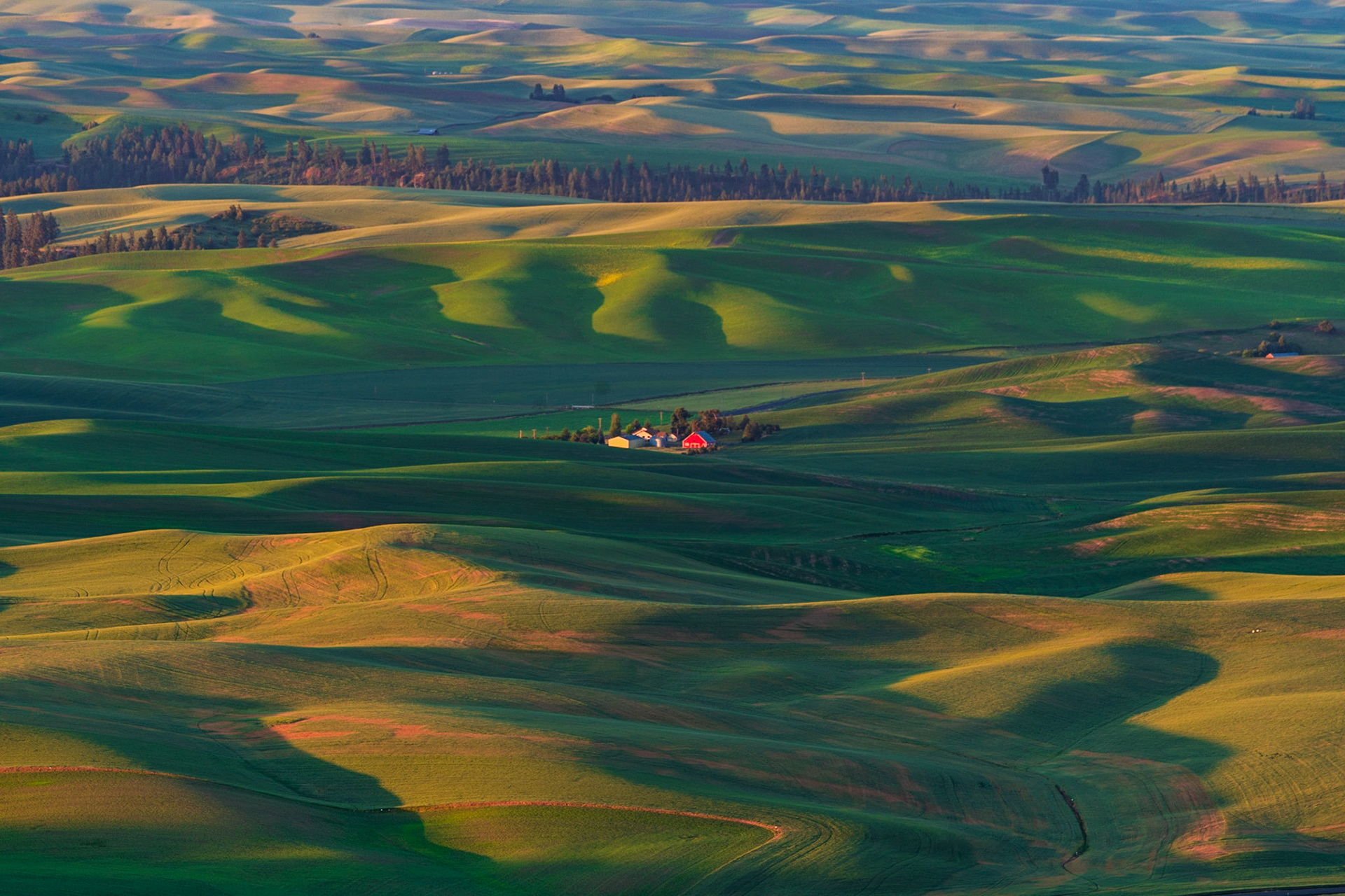 Steptoe Butte - Sunset