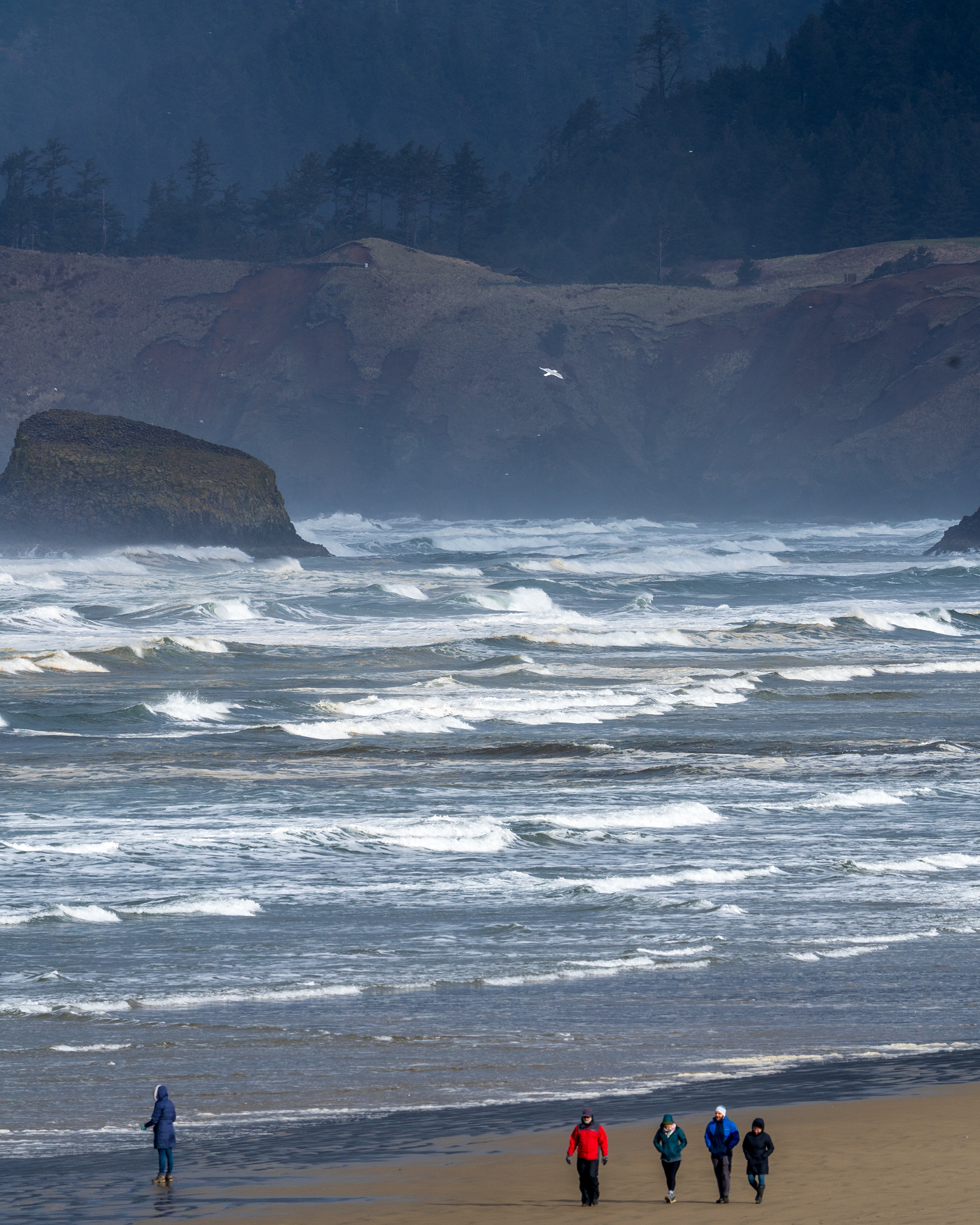 A morning stroll - Cannon Beach