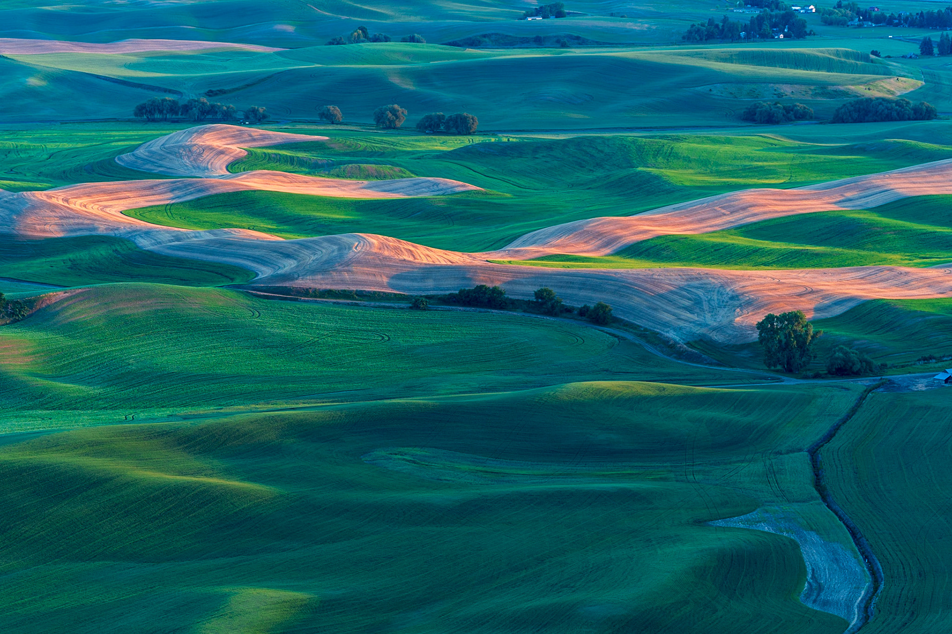 Steptoe Butte Sunrise