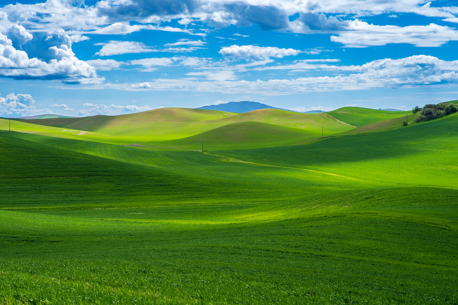 Rolling Green Hills