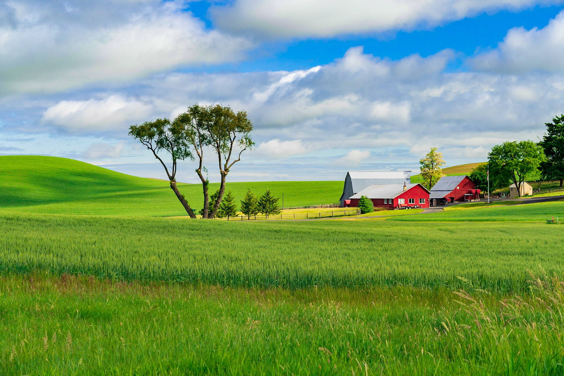 Farmland near Pullman Washington
