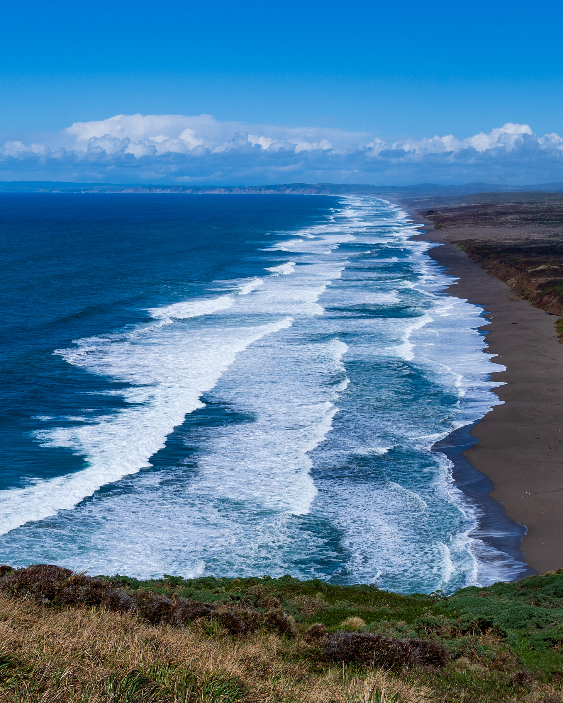 Pacific Ocean View