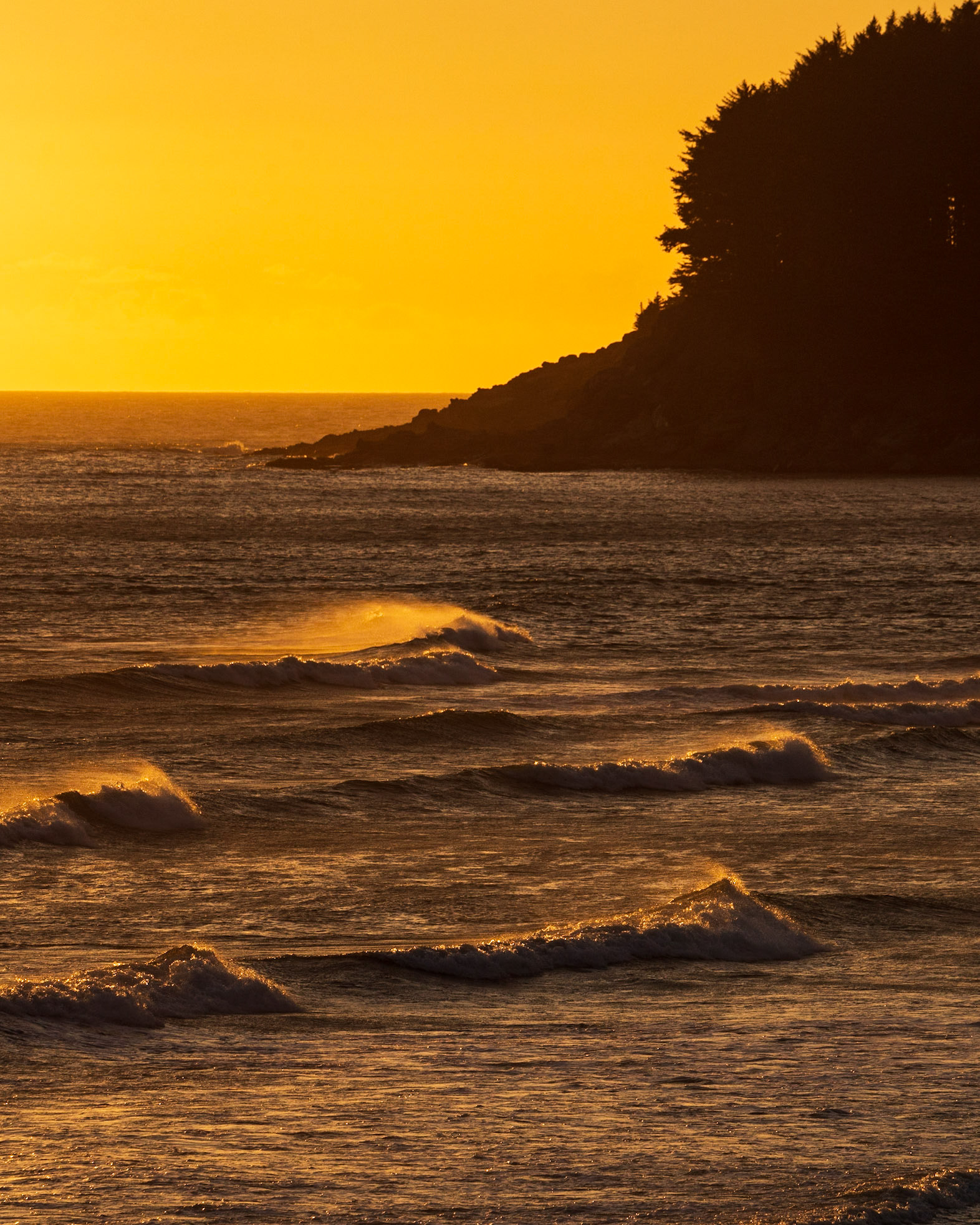 Waves