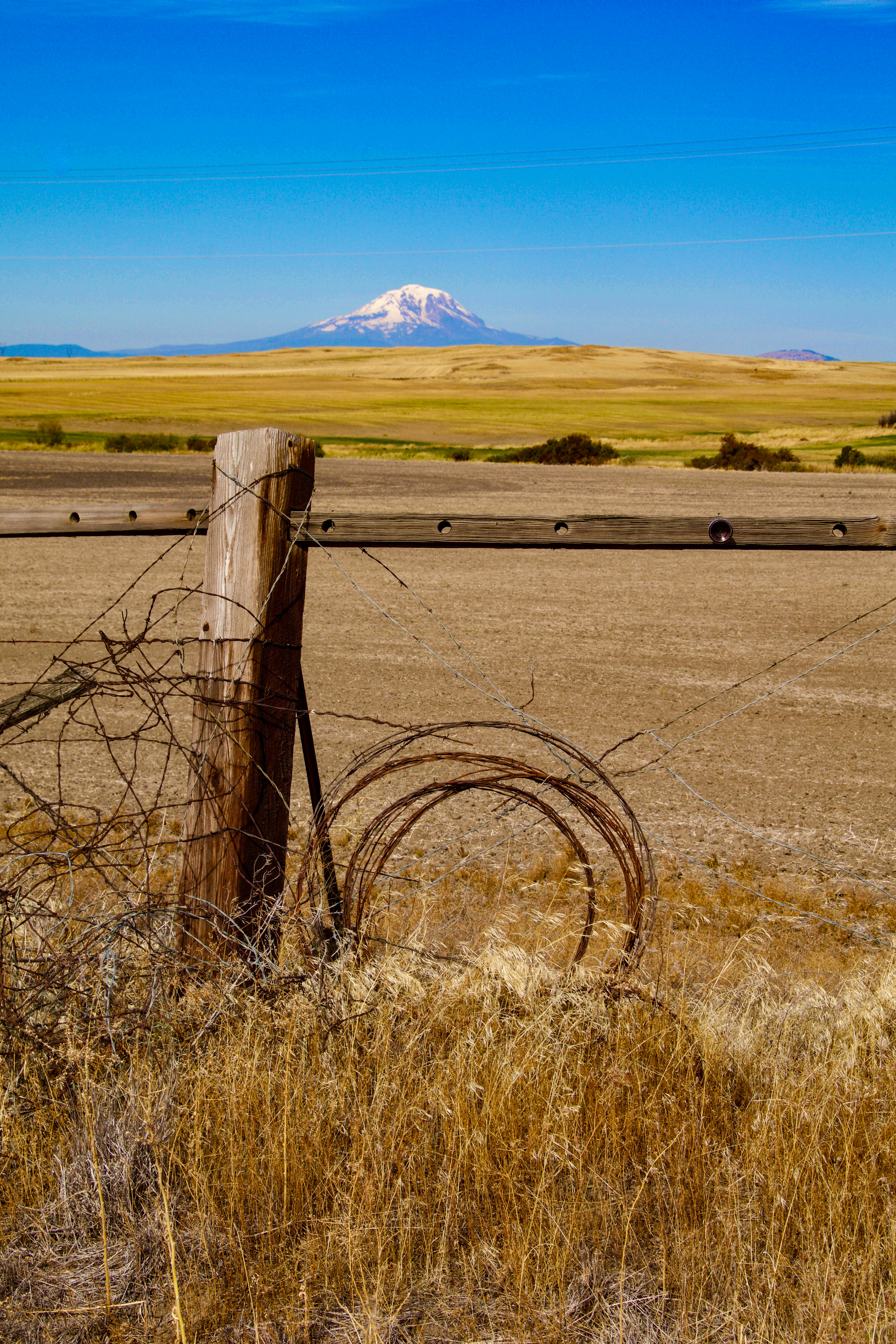 Mt Adams and Farmland