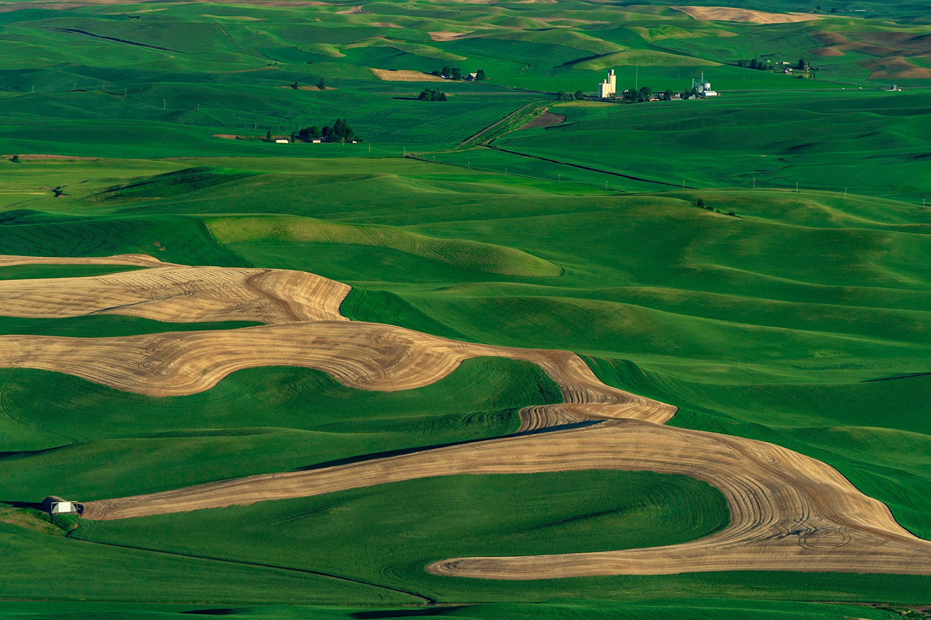 The Palouse from Steptoe Butte