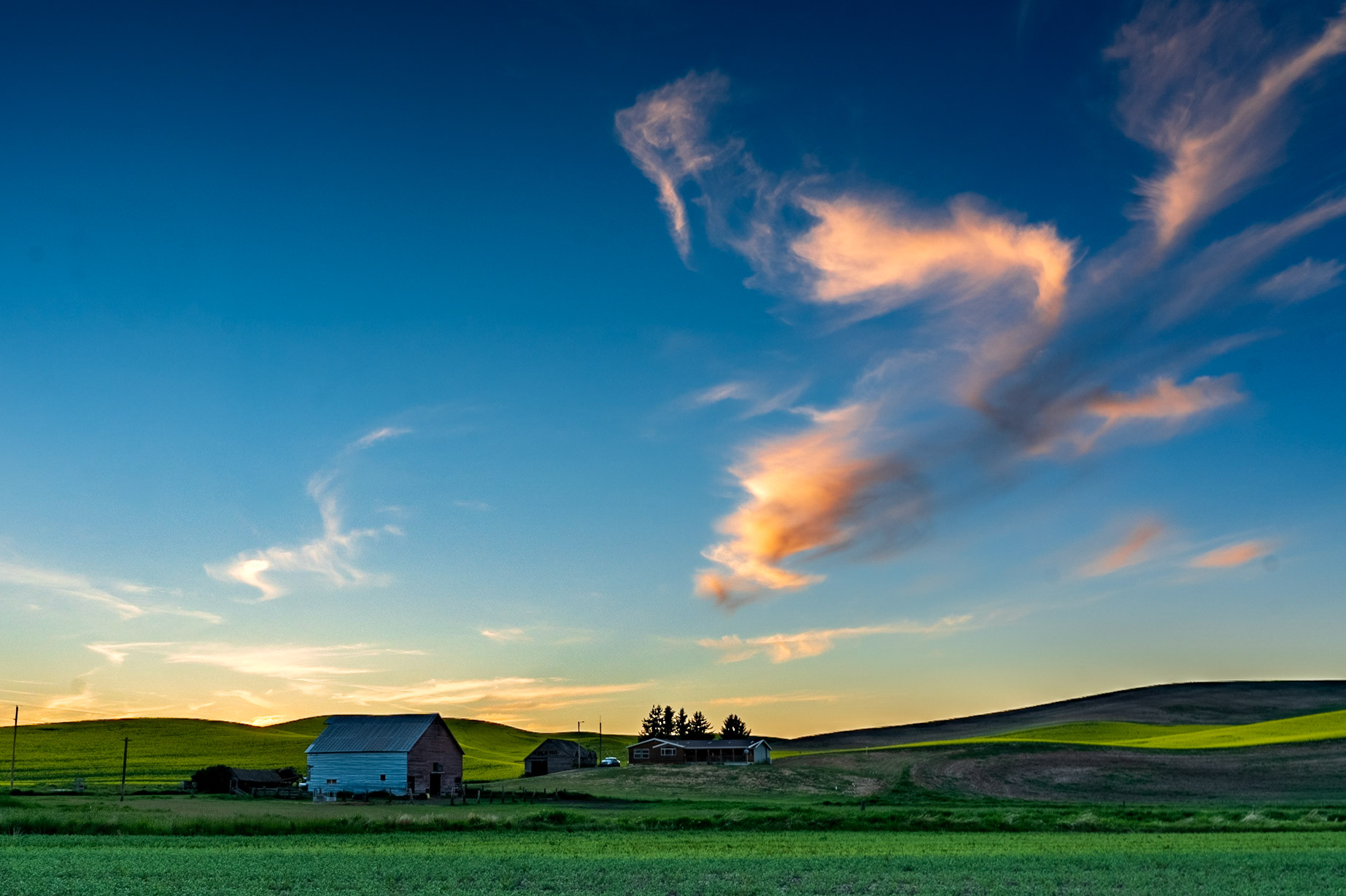 Farmland Outside of Pullman WA