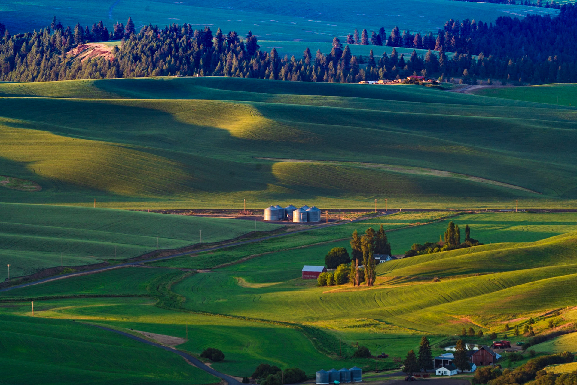 Farmland from Steptoe Butte