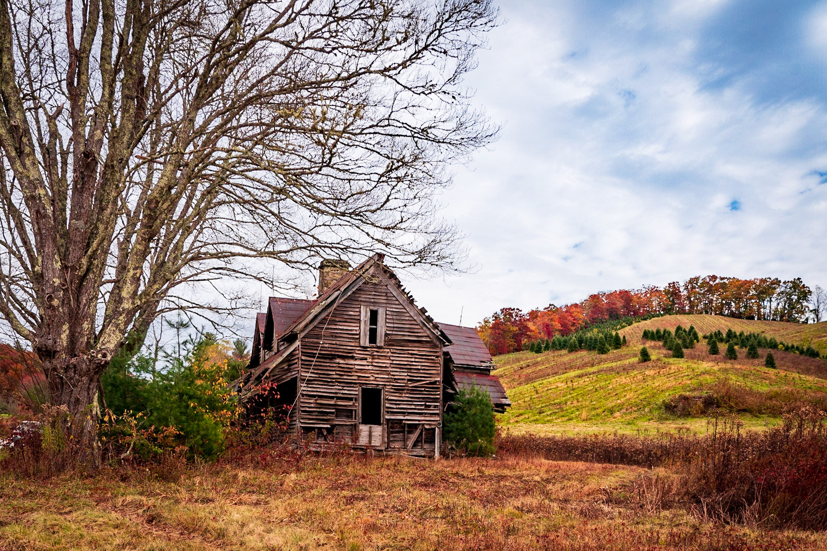 Farmland - North Carolina