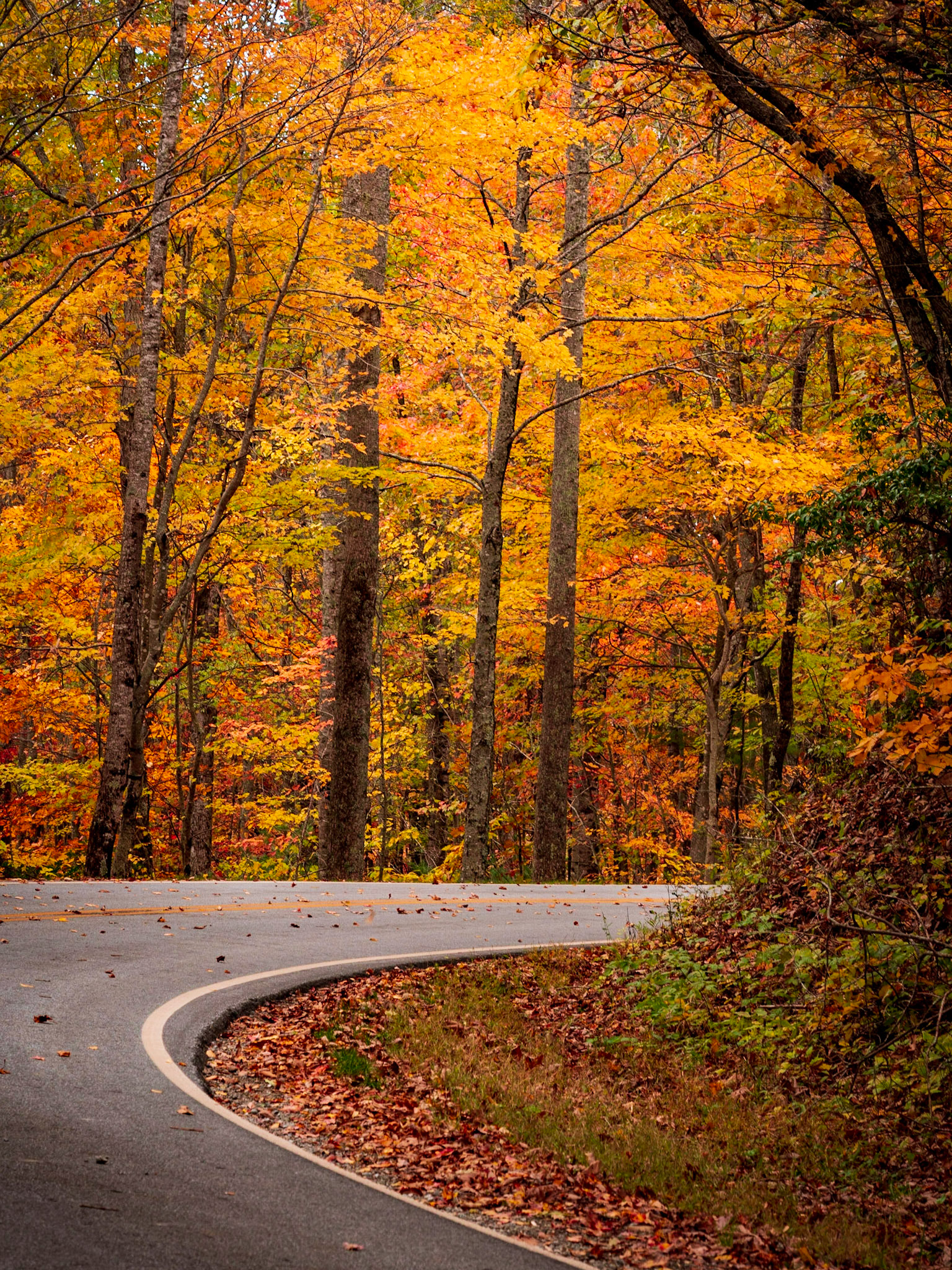 Country Road
