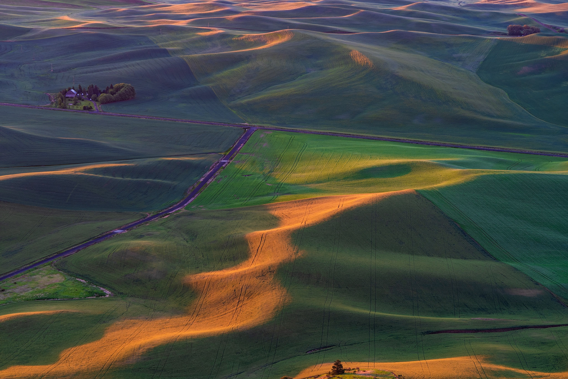 Golden Light falls on the Palouse