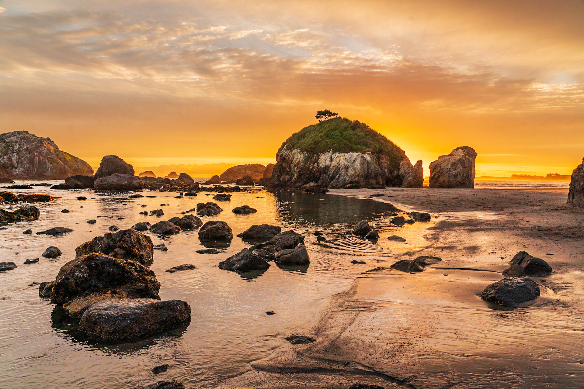 Rocky Shore