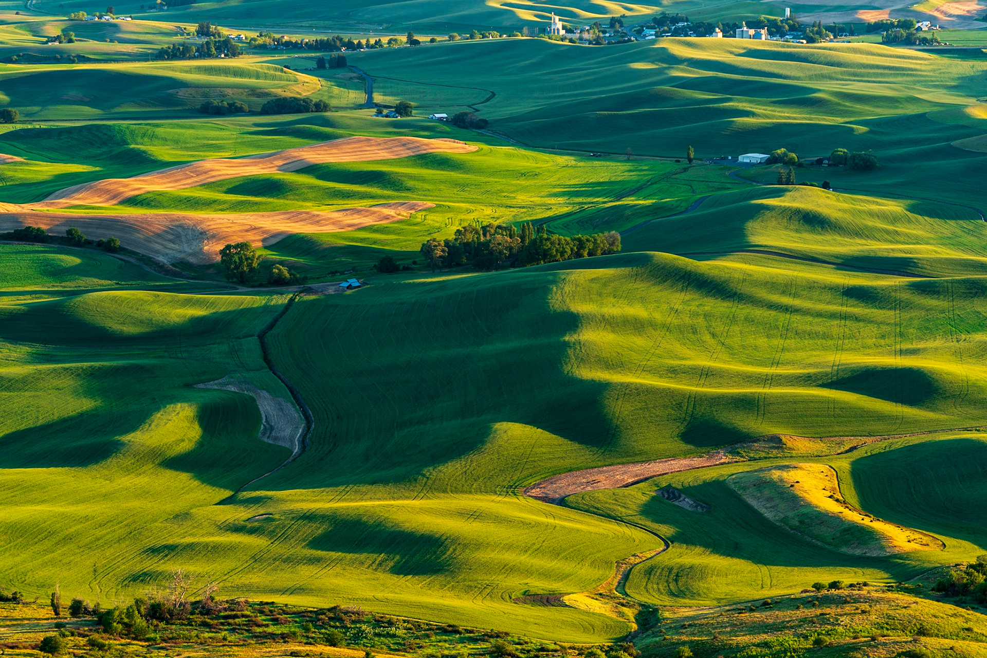 Rolling hills of color - The Palouse