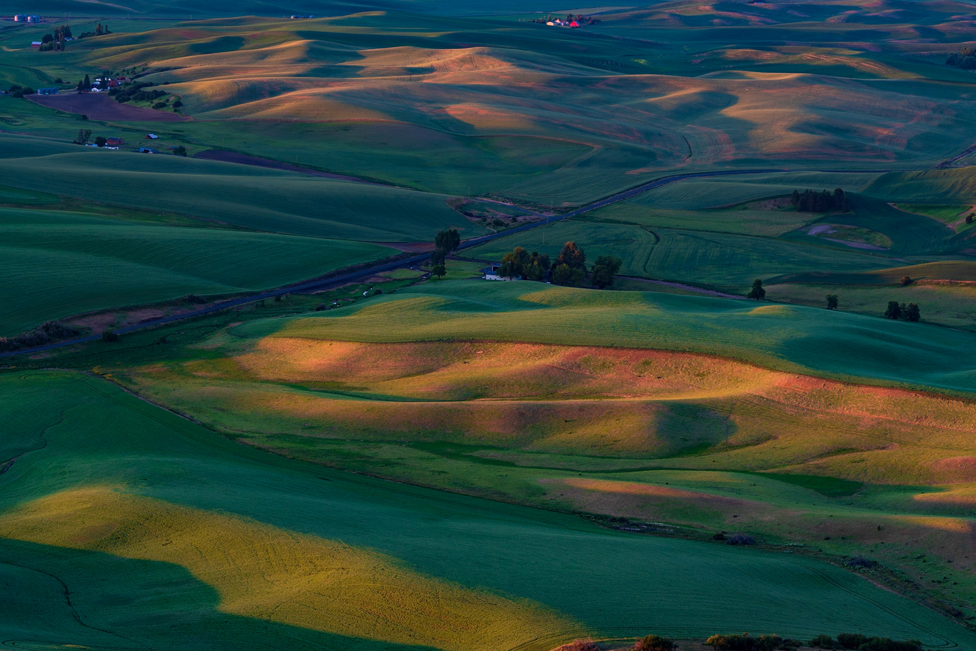 Steptoe Butte at Sunset