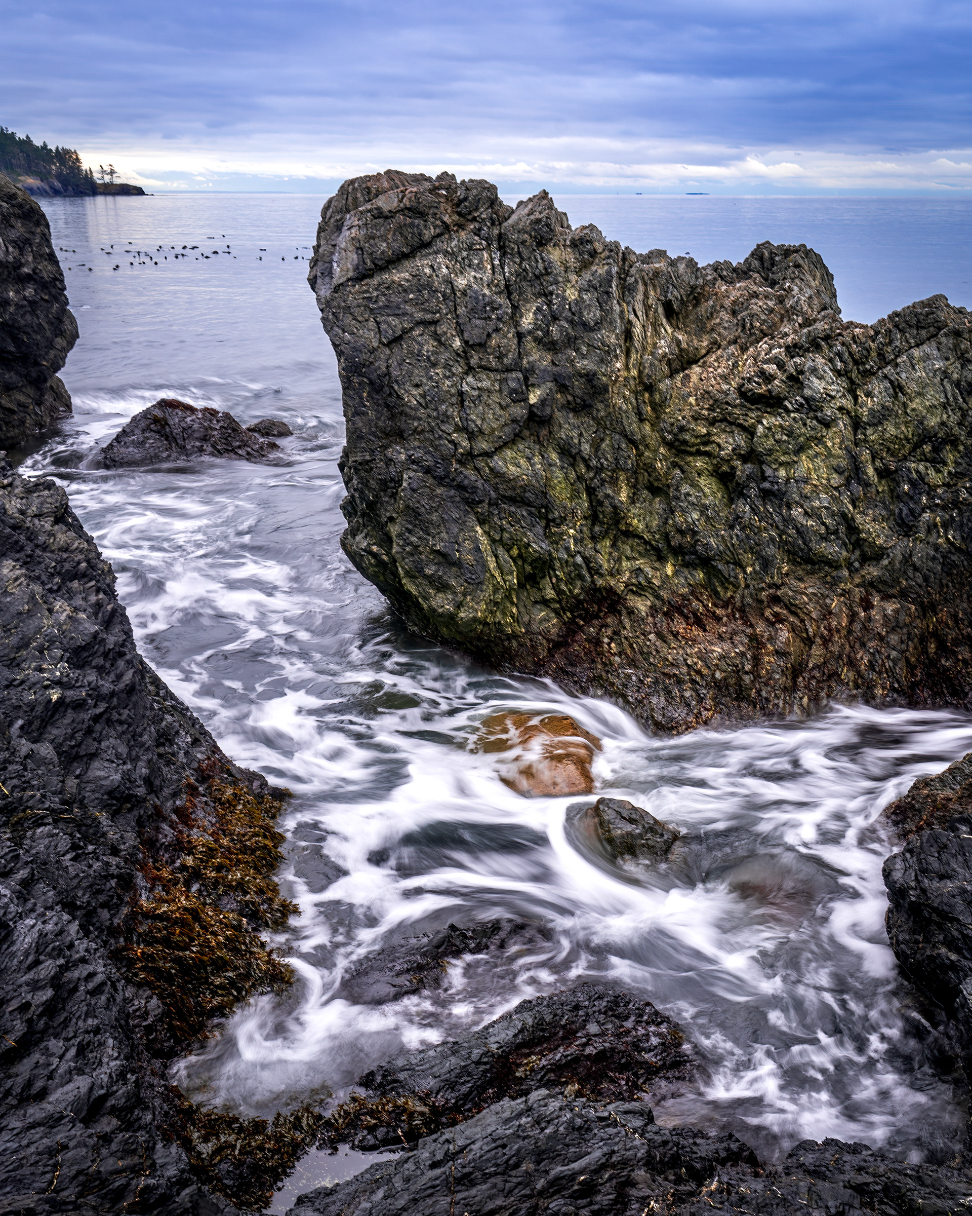 Whidbey Island