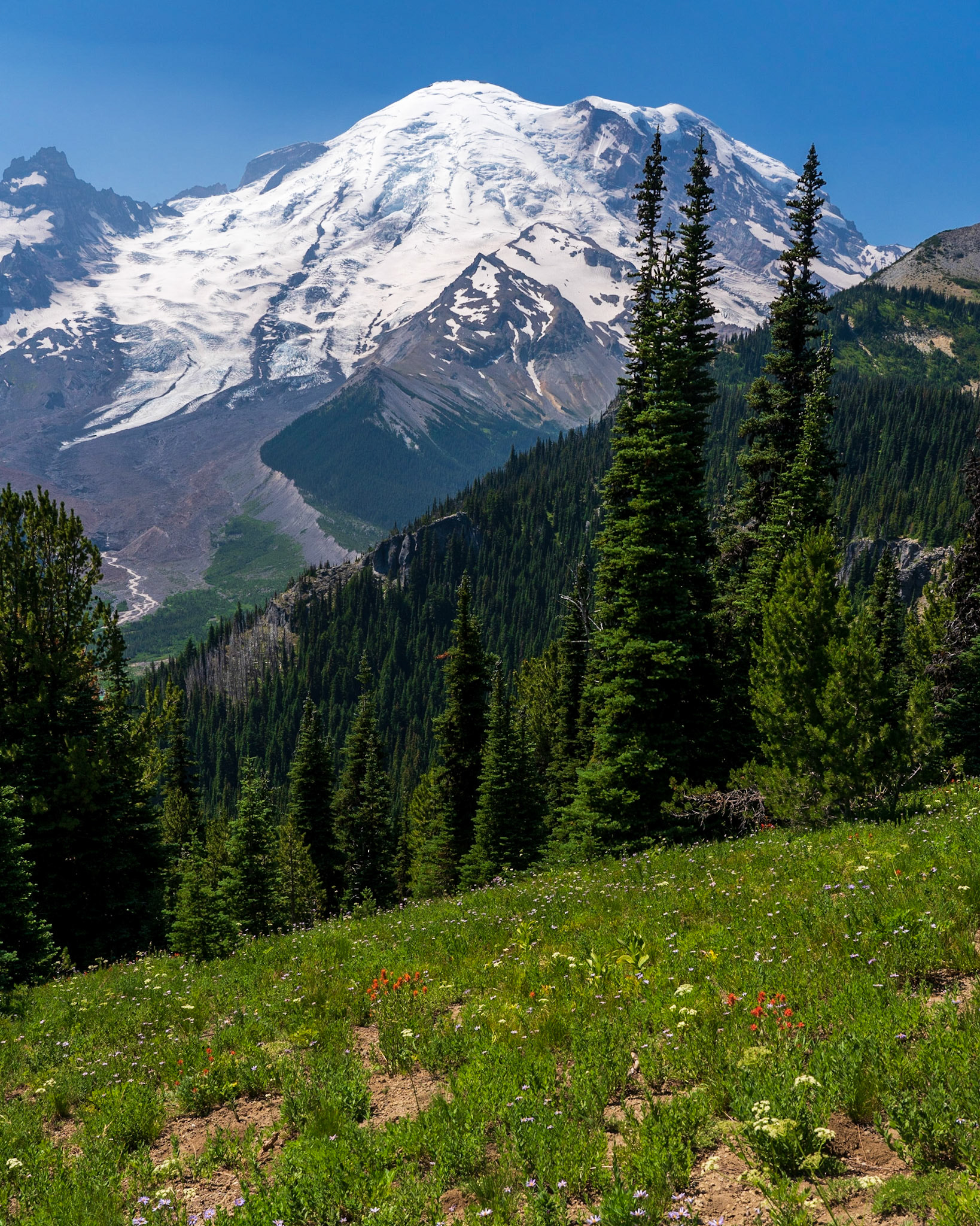 Sunrise MRNP