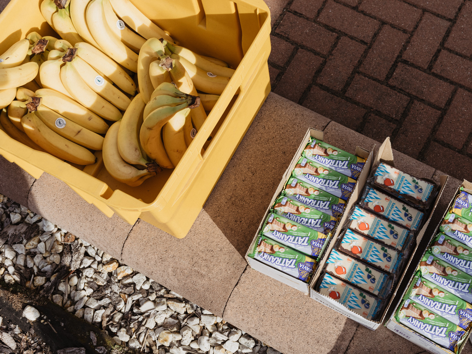 Cykilstika 2023 Merch