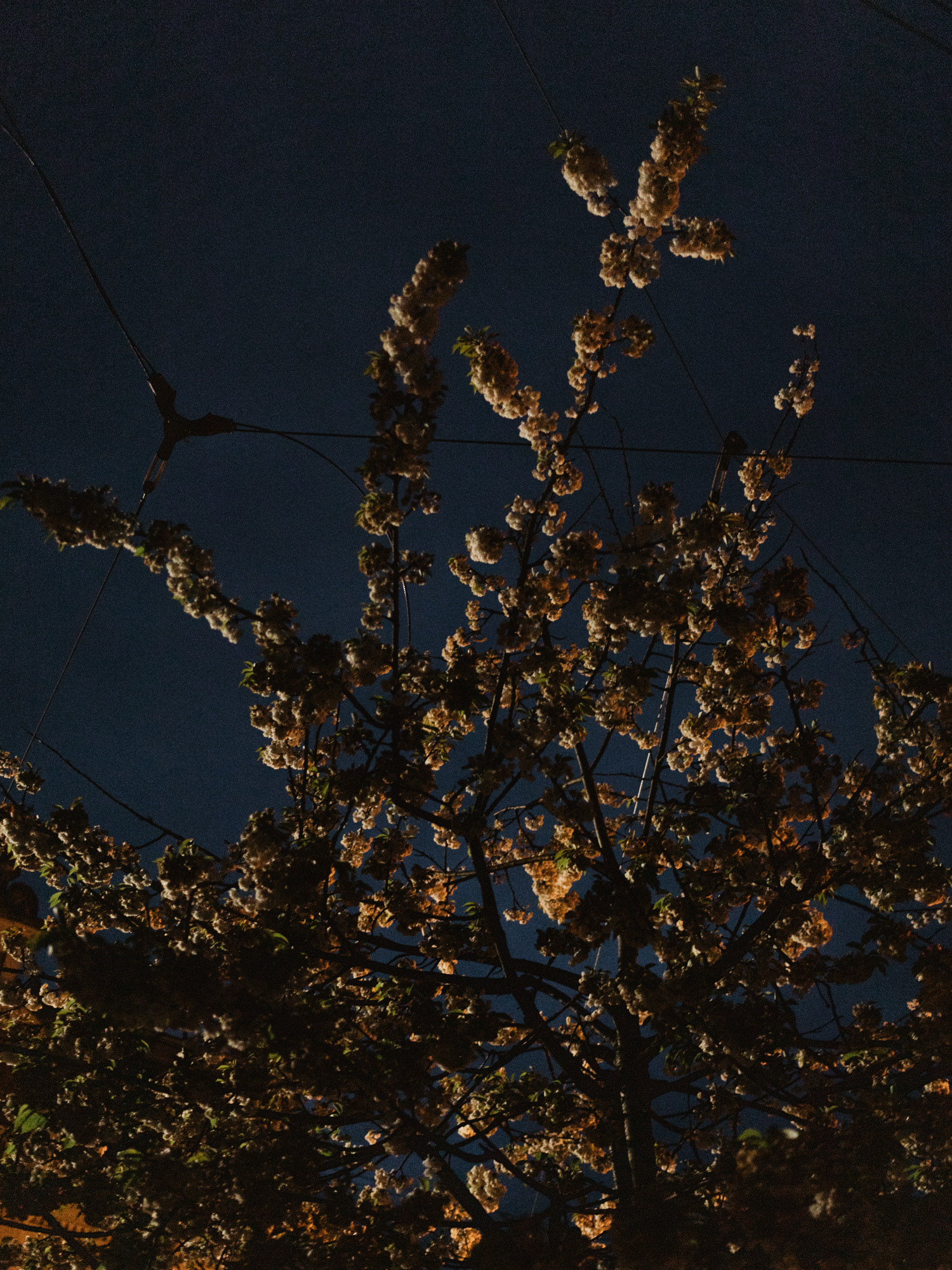 Mariánských Lázních