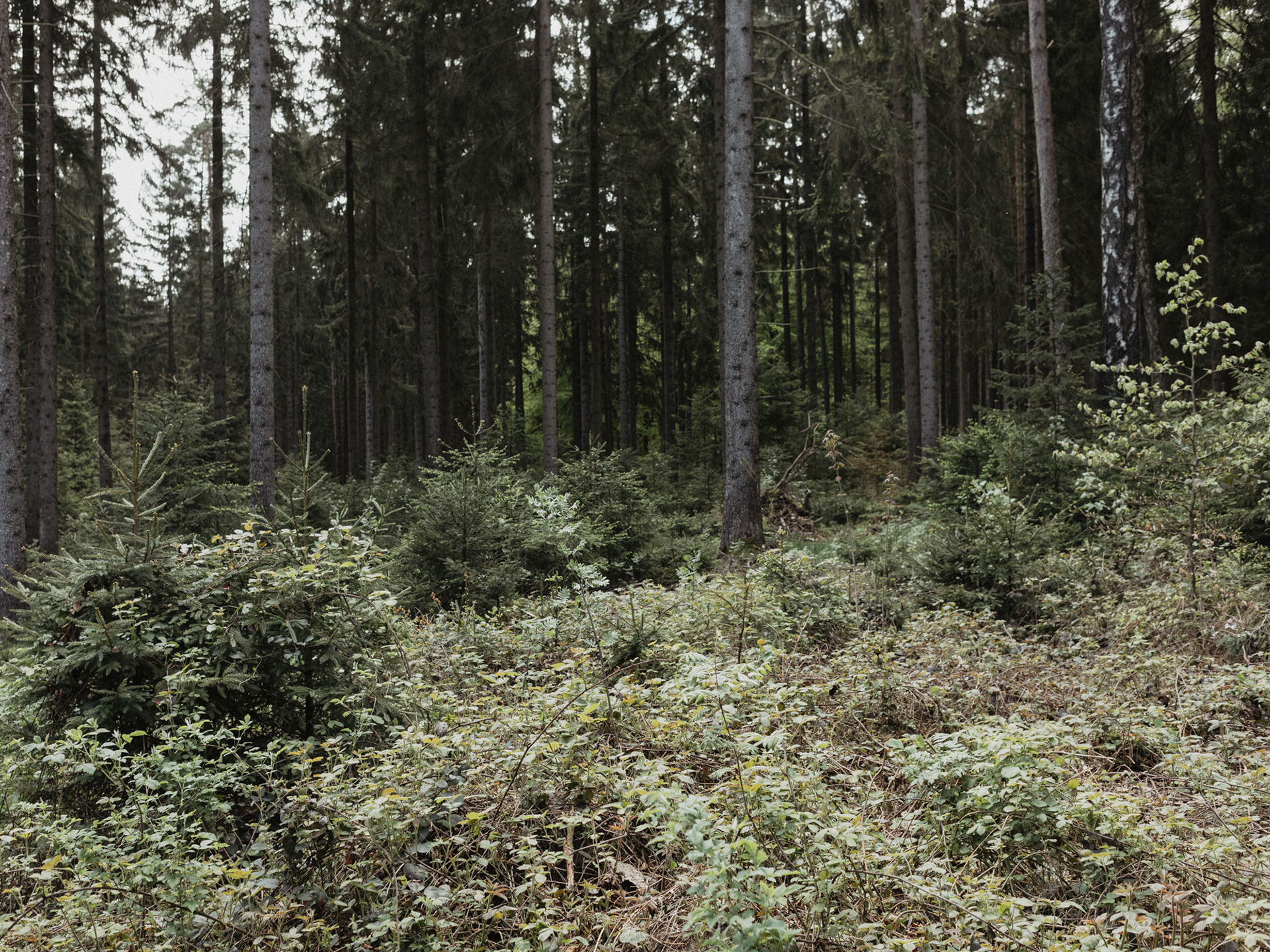 unterwegs nach Tschechien