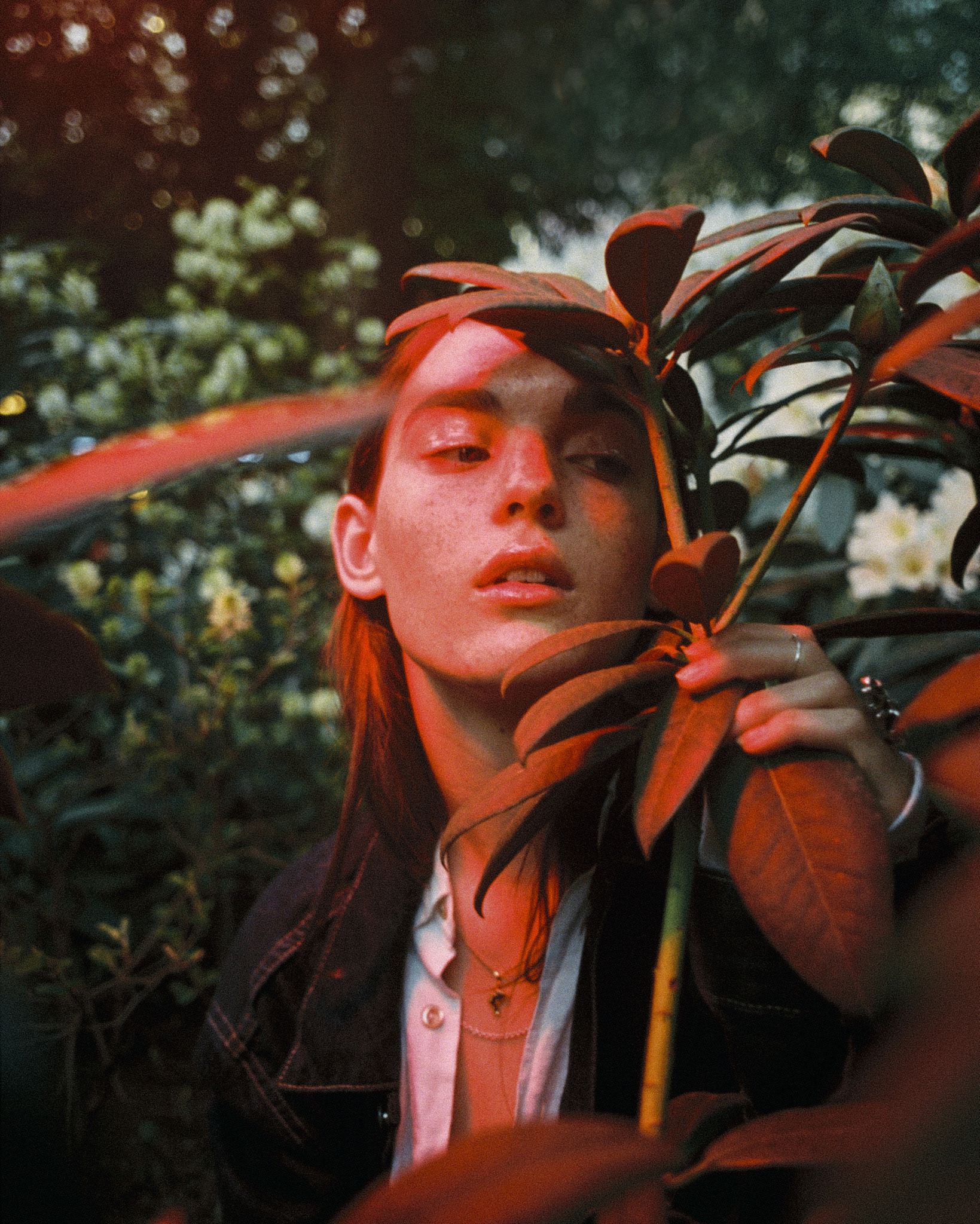 Photographed by Adam Falk