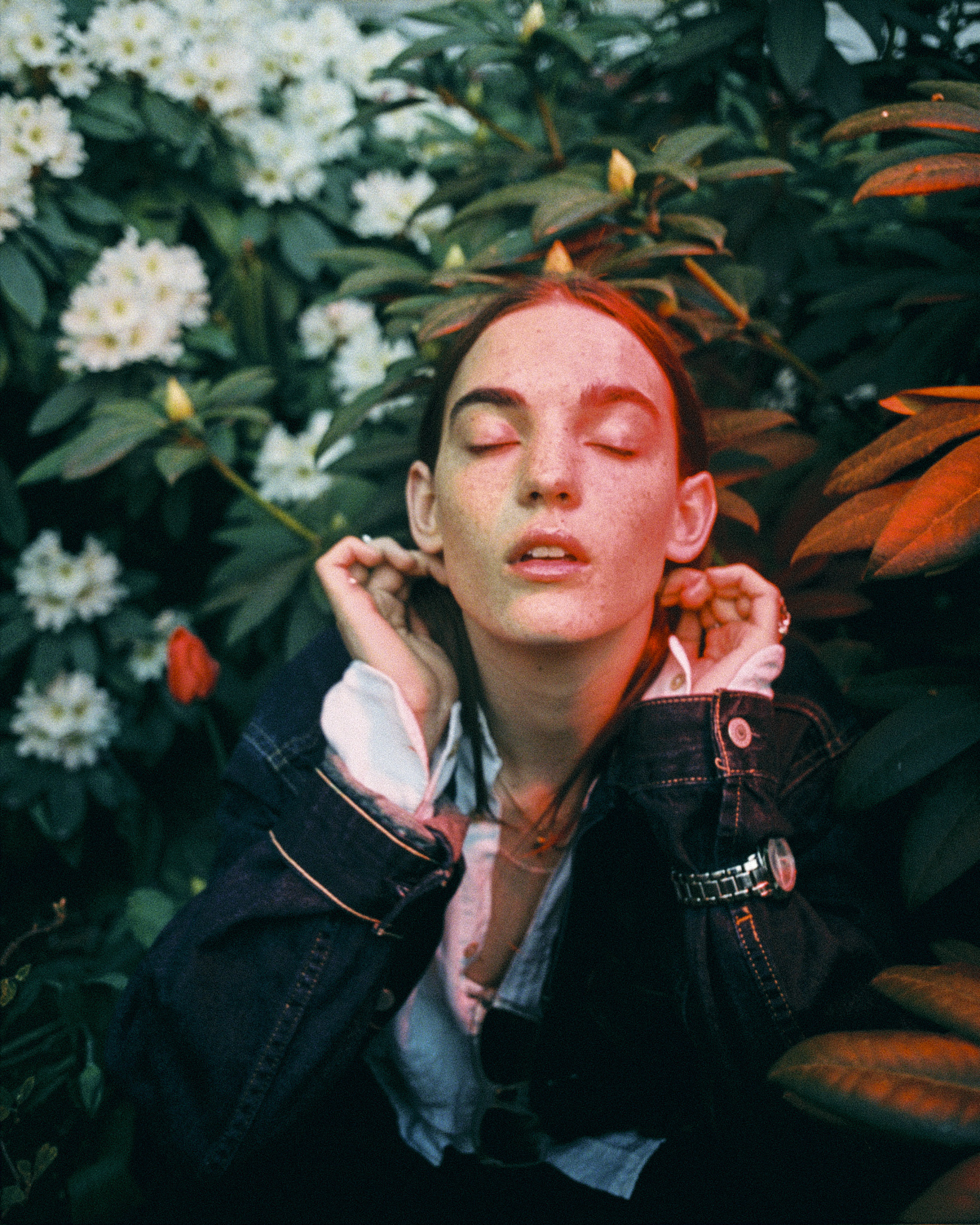 Photographed by Adam Falk