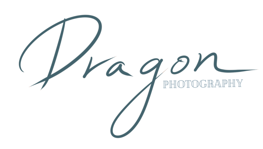 Dragon Photography