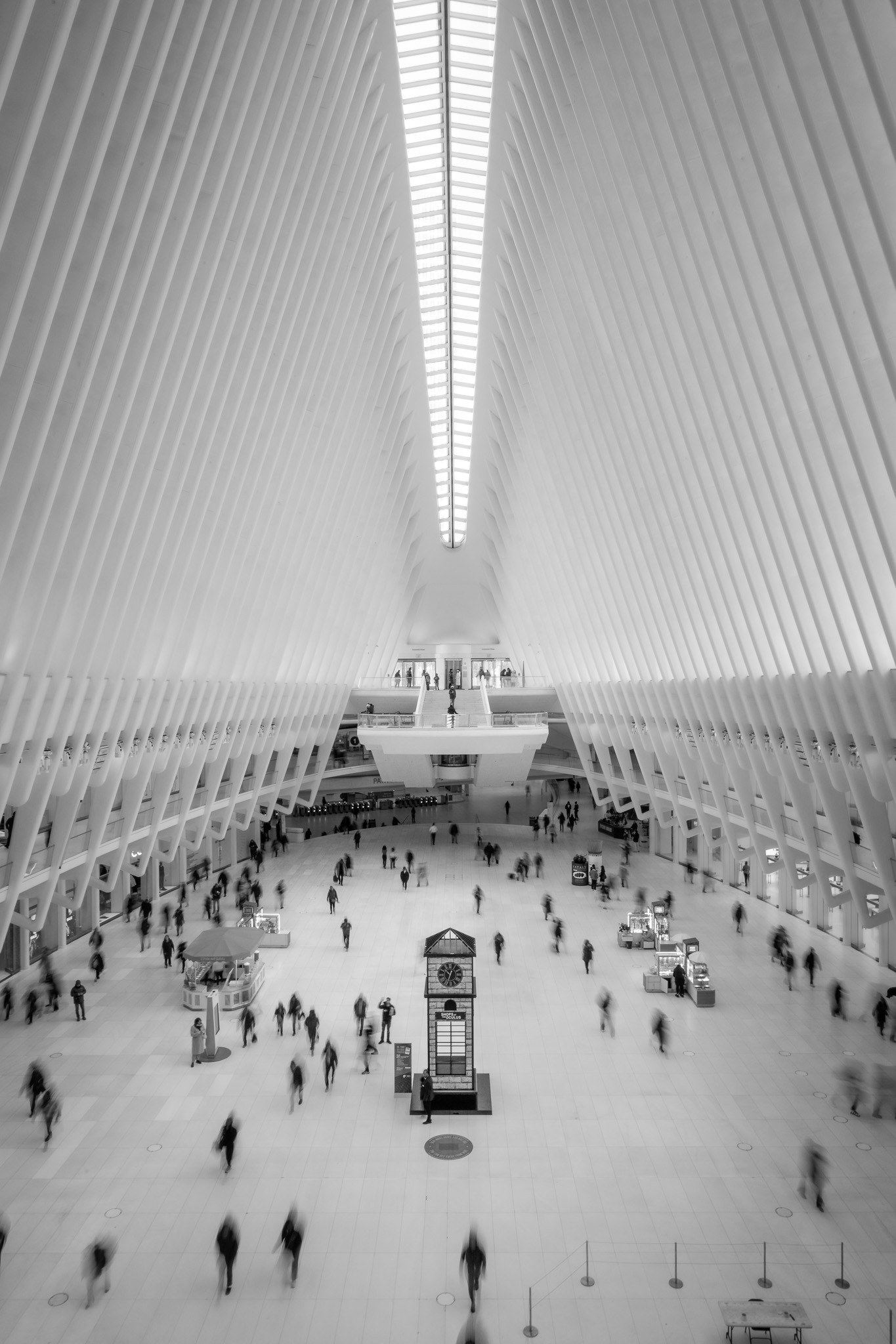 New York, New York.