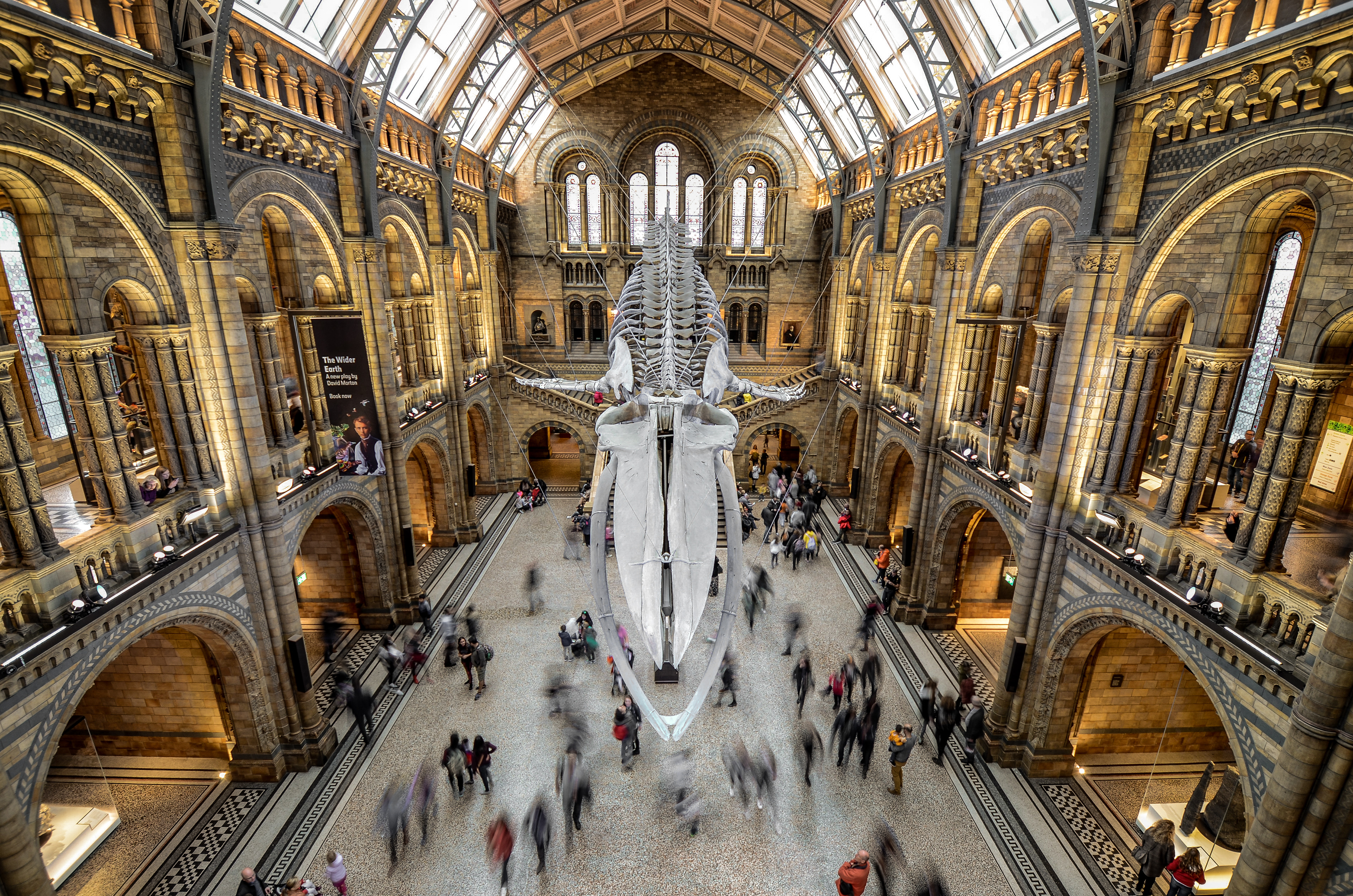 National History Museum, London.