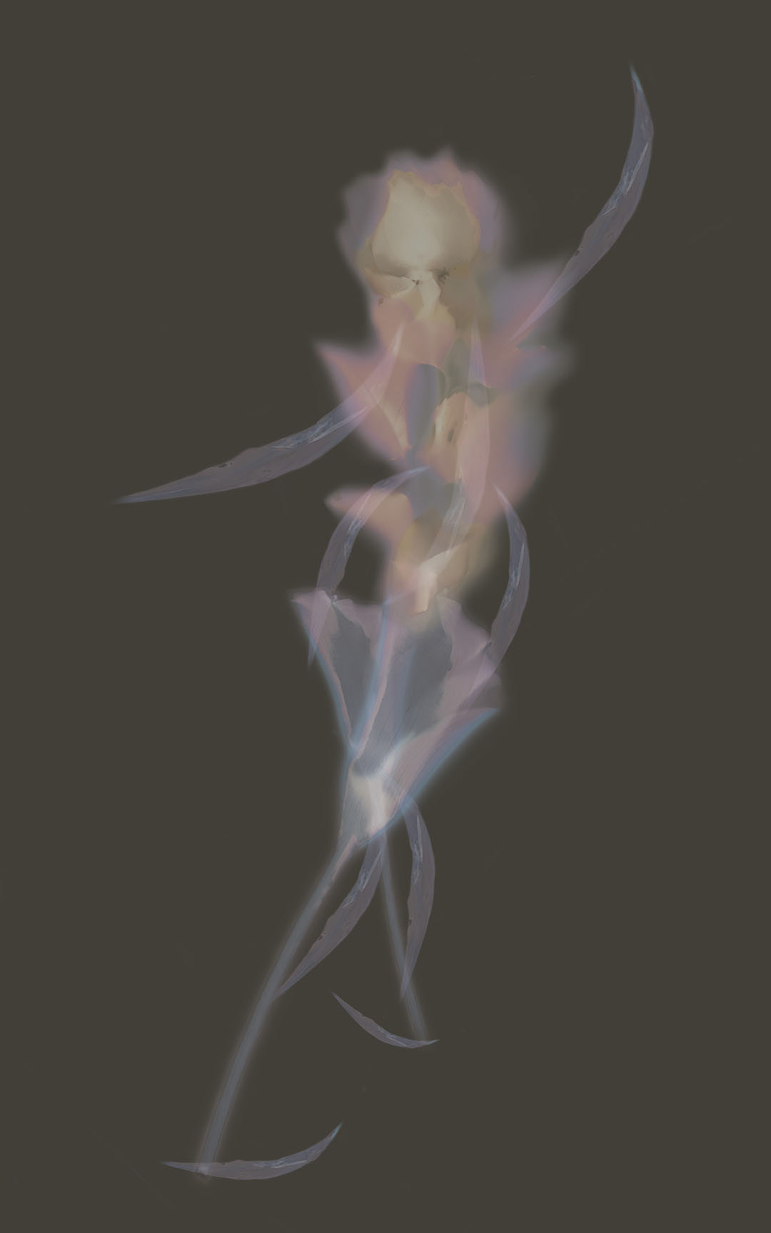 Balance