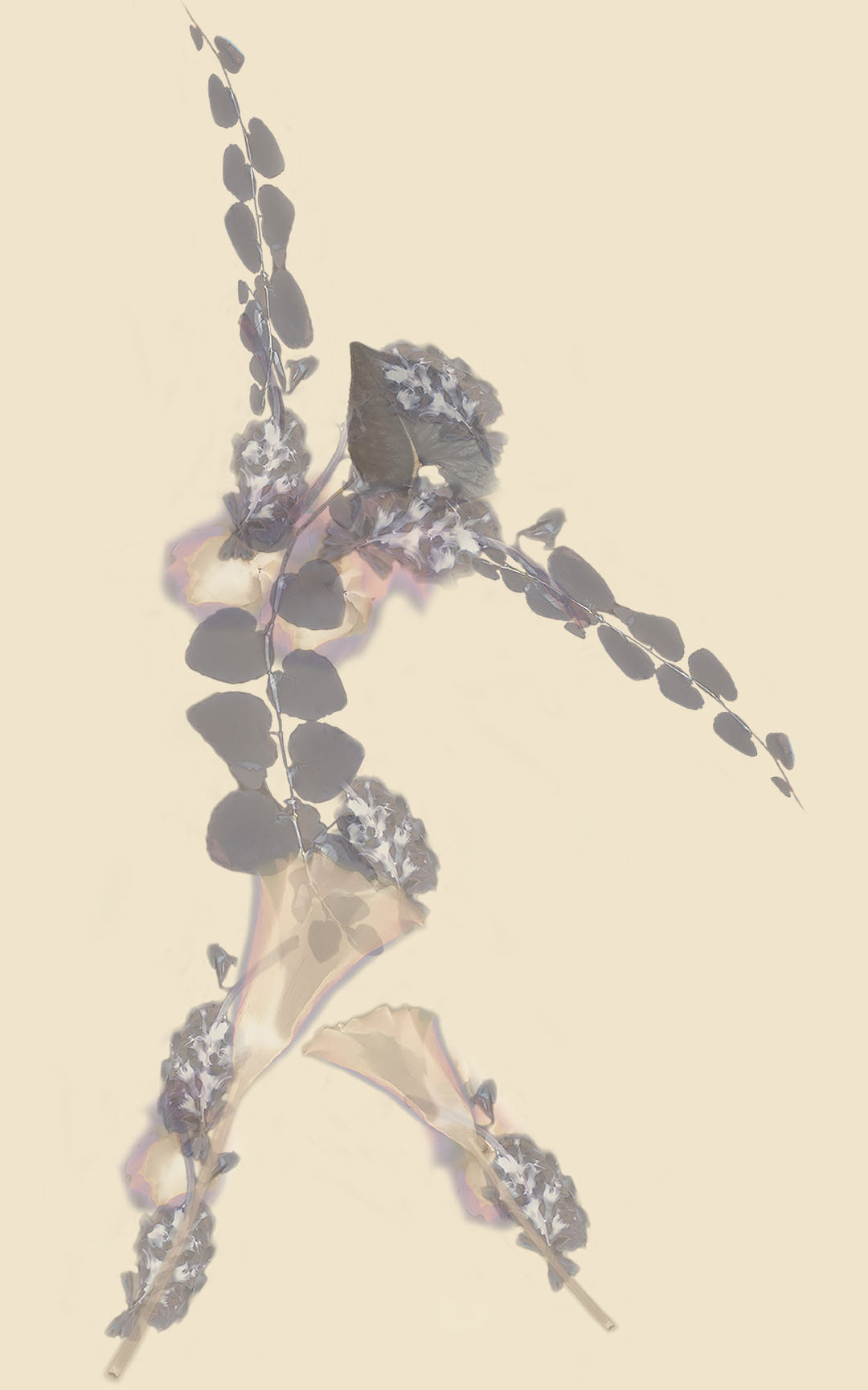 Ascending