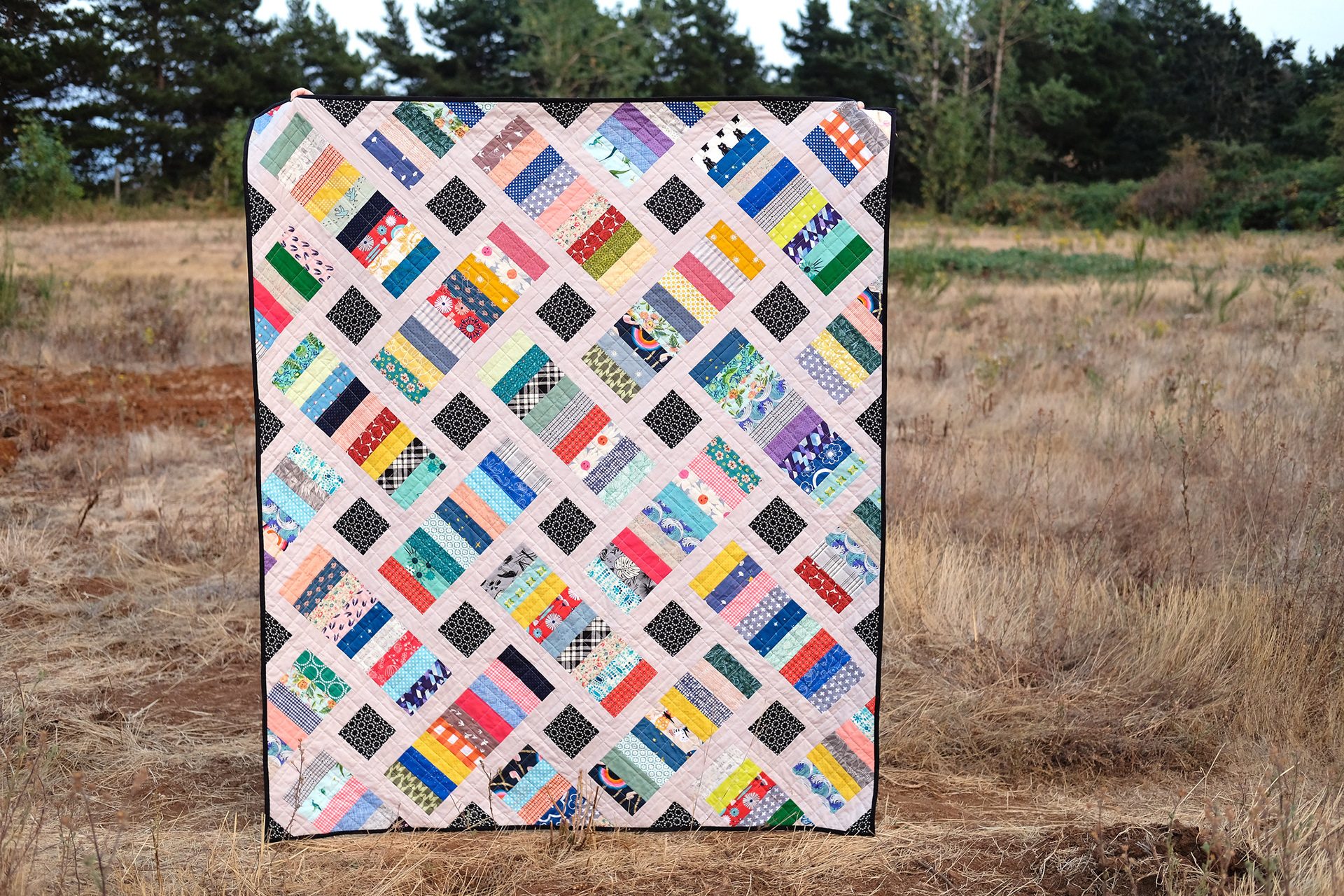 A Scrappy Iris Quilt - Kitchen Table Quilting