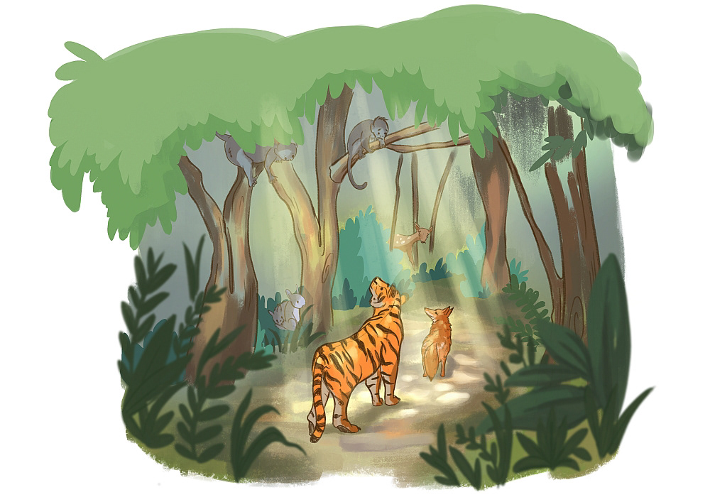 The Tiger Behind The Fox