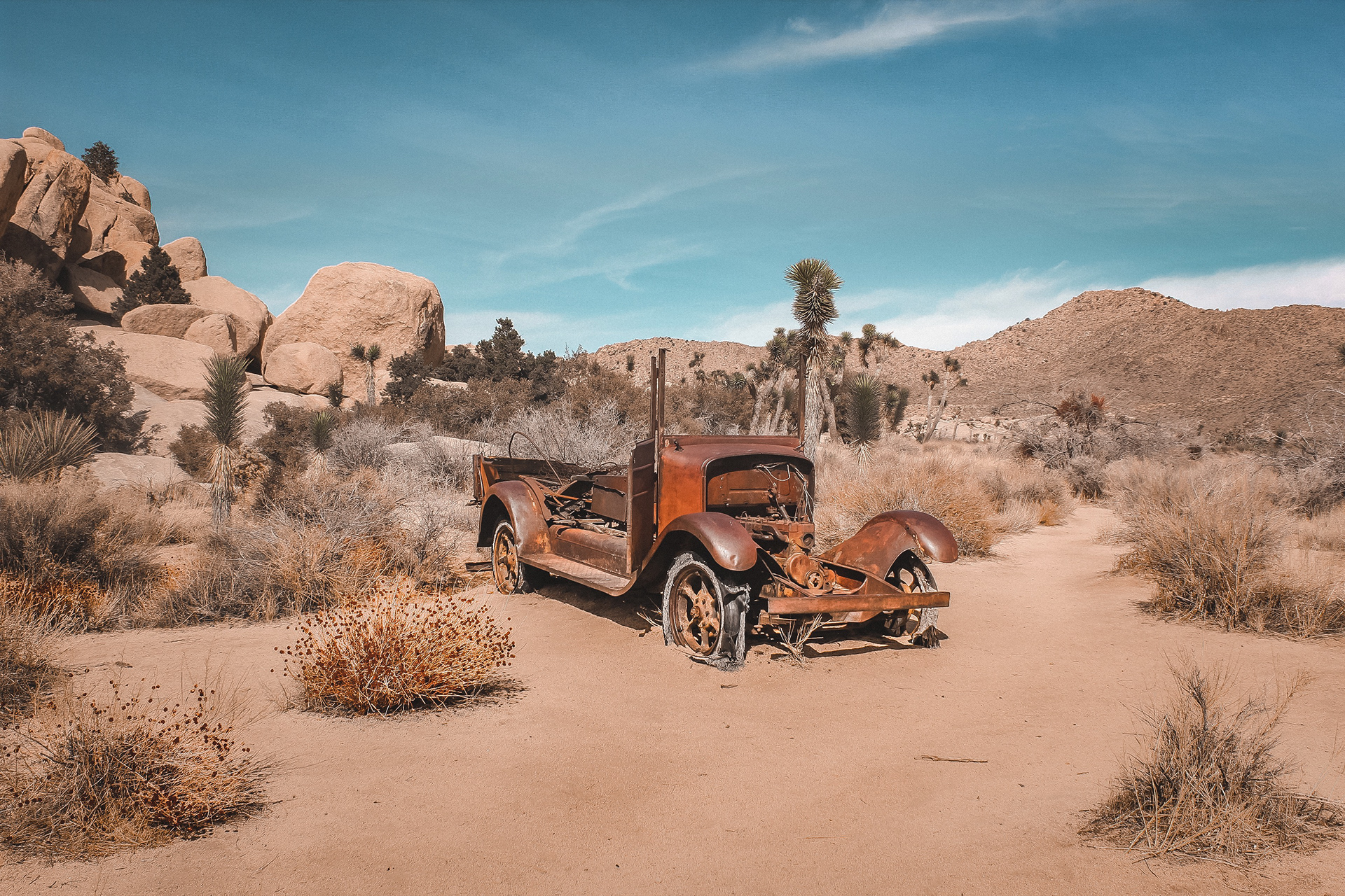 Joshua Tree National Park, CA